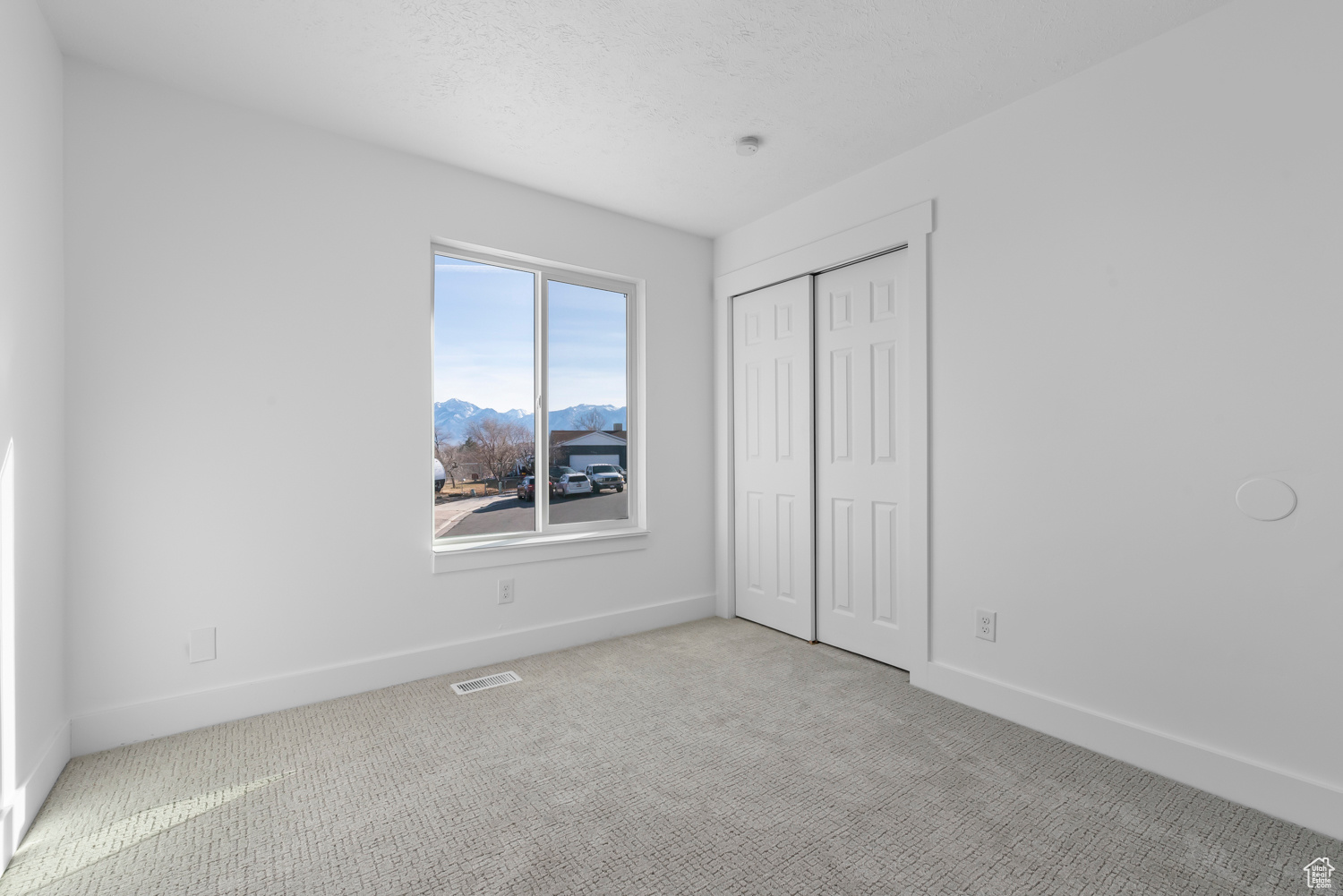 Unfurnished bedroom featuring a mountain view, a textured ceiling, light colored carpet, and a closet