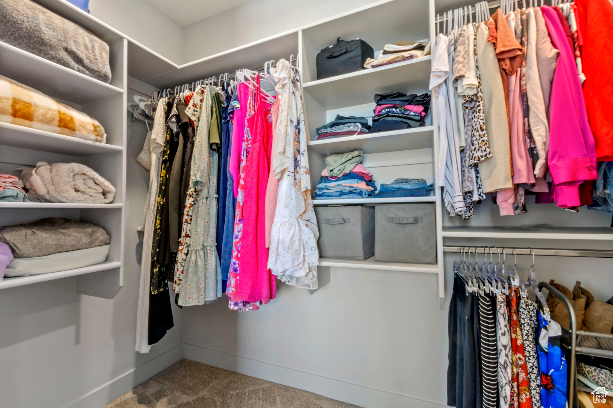 Spacious closet featuring carpet flooring