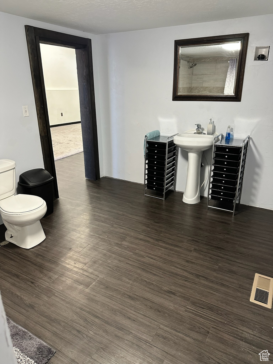 Bathroom with wood-type flooring, toilet, and sink