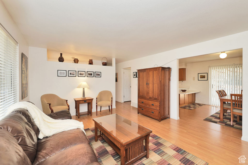 Living room featuring light hardwood / wood-style floors