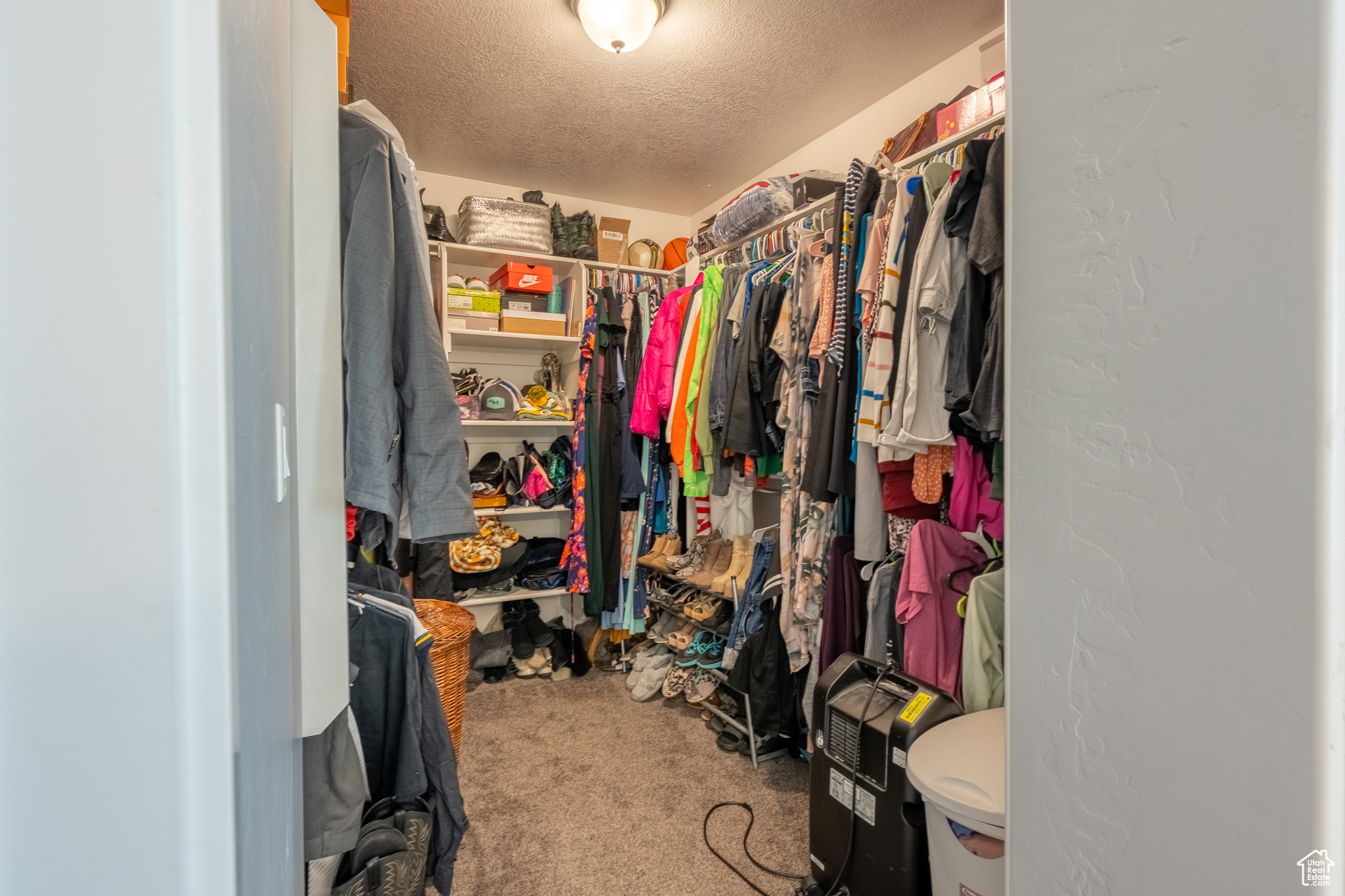 Spacious closet featuring carpet