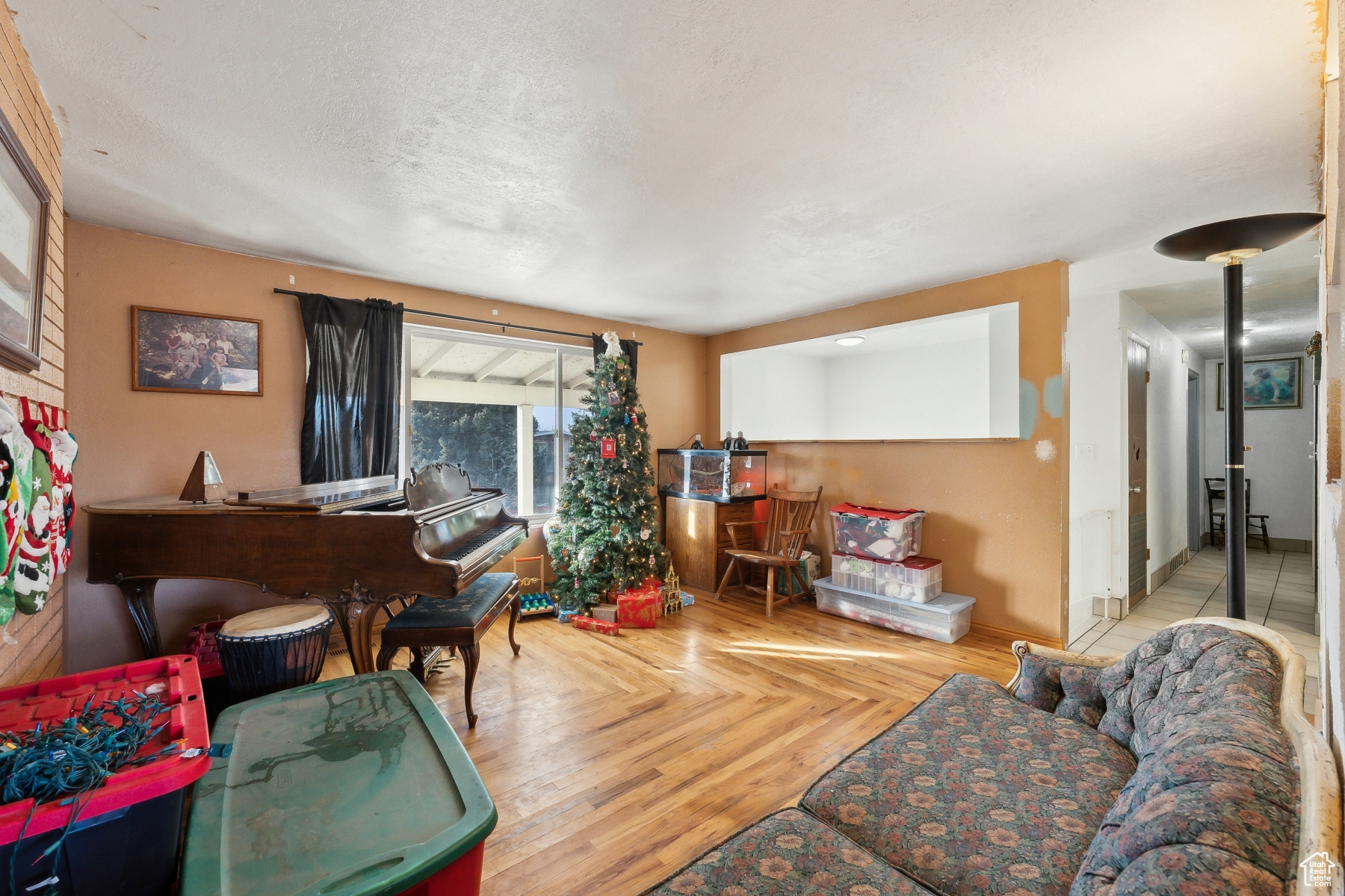 Living room with a textured ceiling