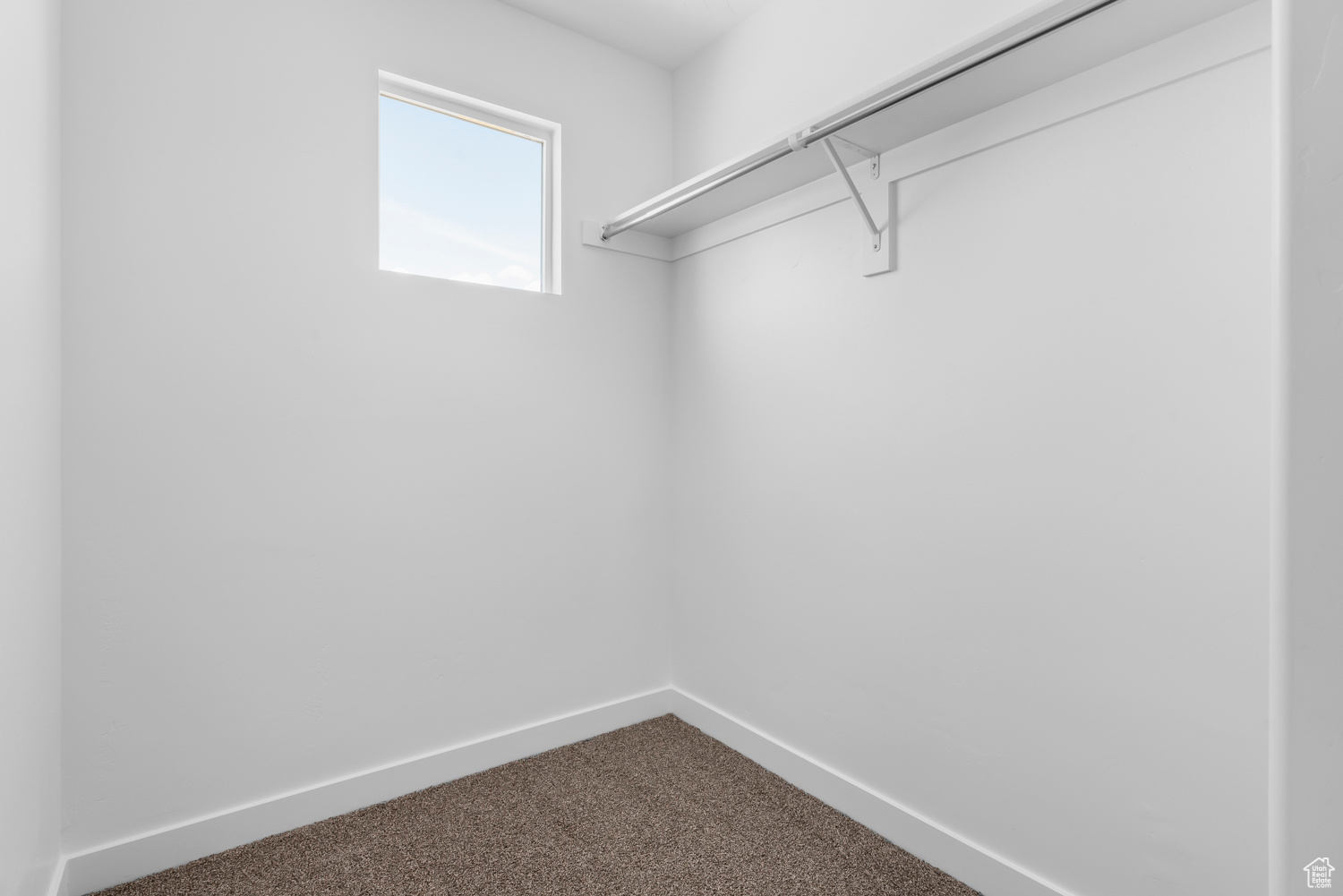 Spacious closet featuring carpet floors