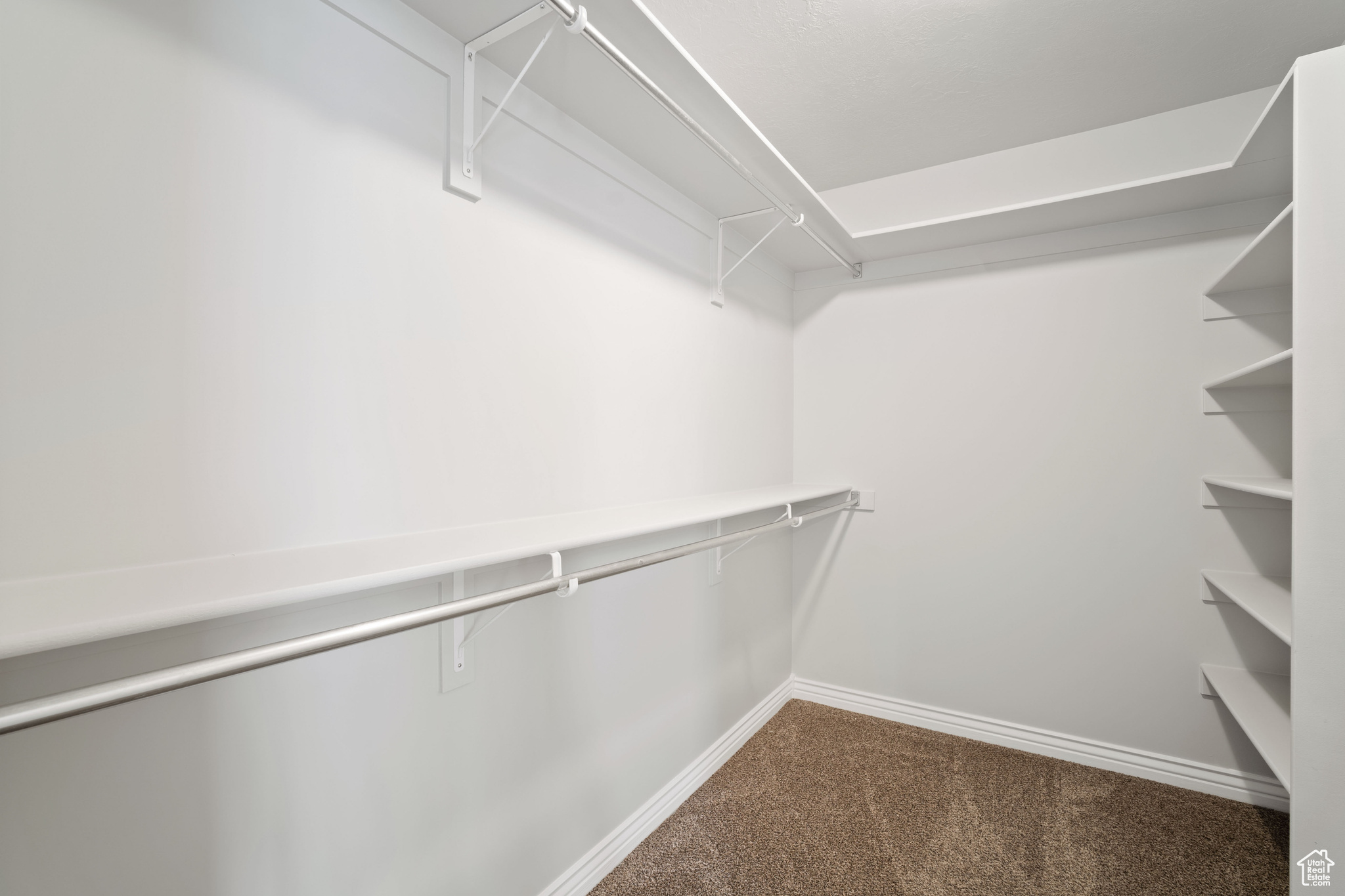 Walk in closet with carpet flooring