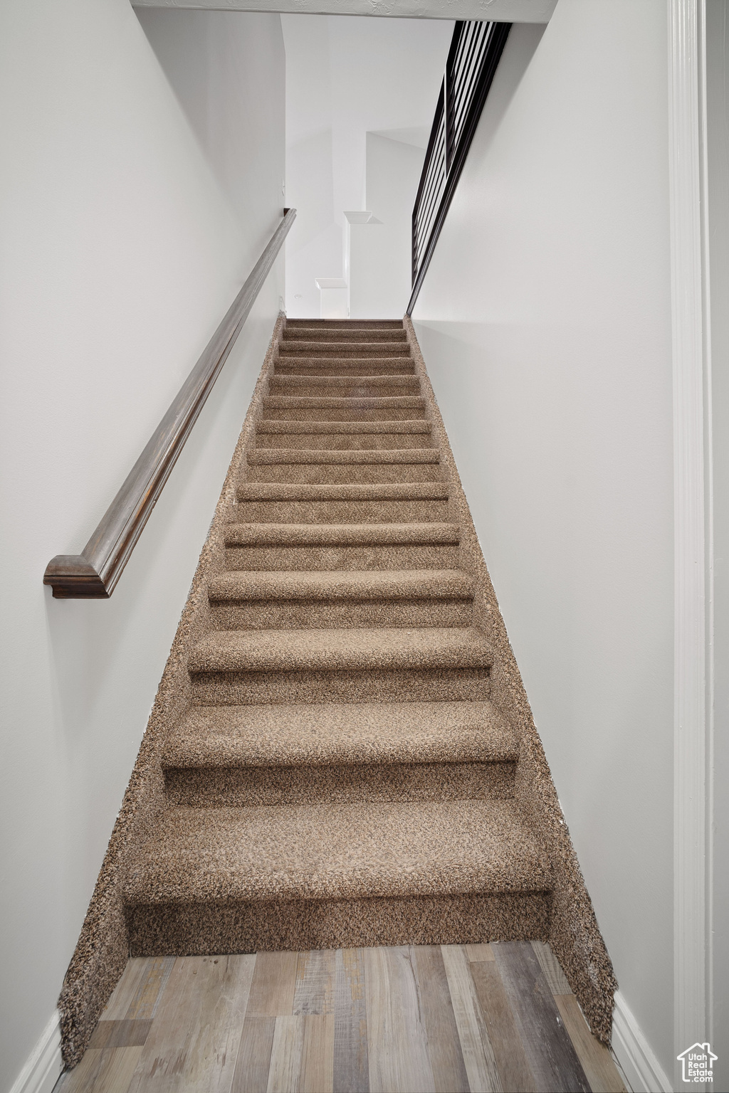 Staircase with wood-type flooring