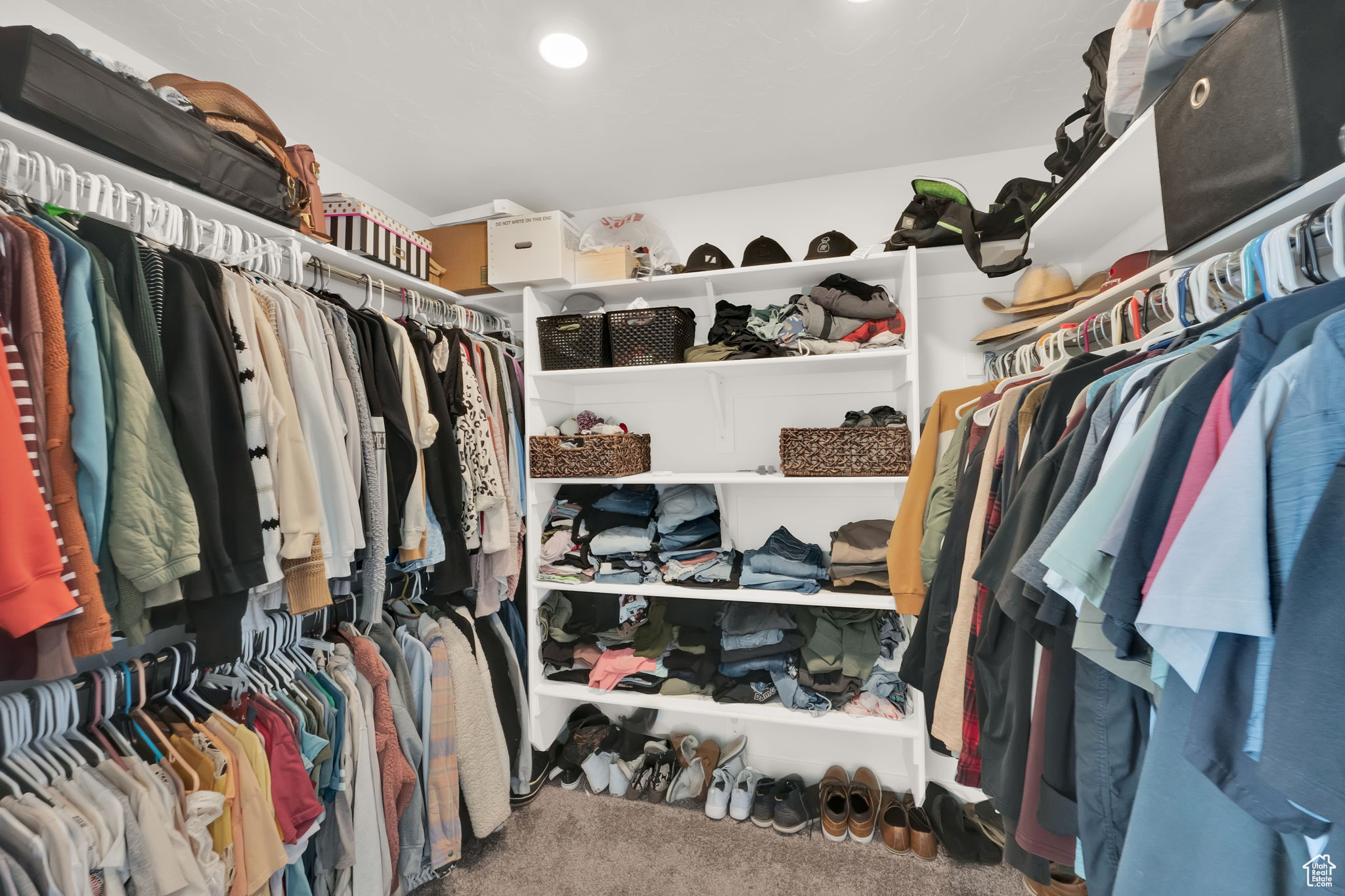 Walk in closet featuring carpet flooring