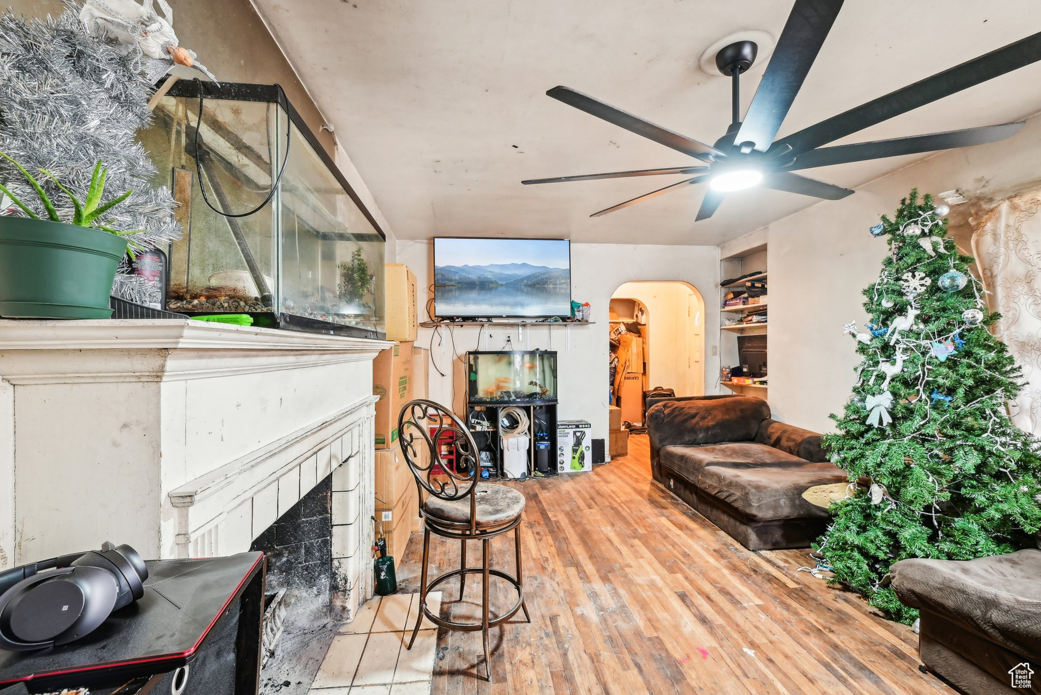 Living room featuring hardwood / wood-style flooring, ceiling fan, and a fireplace