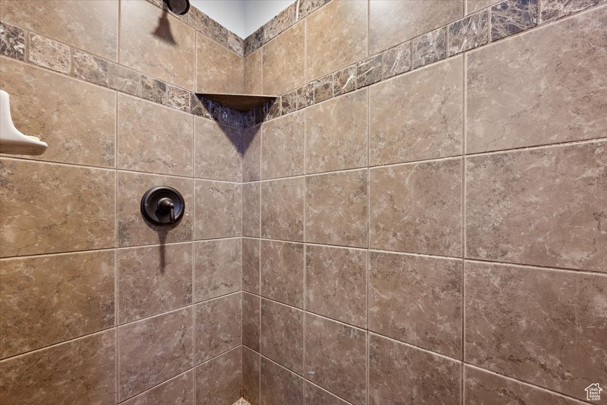 Interior details with tiled shower