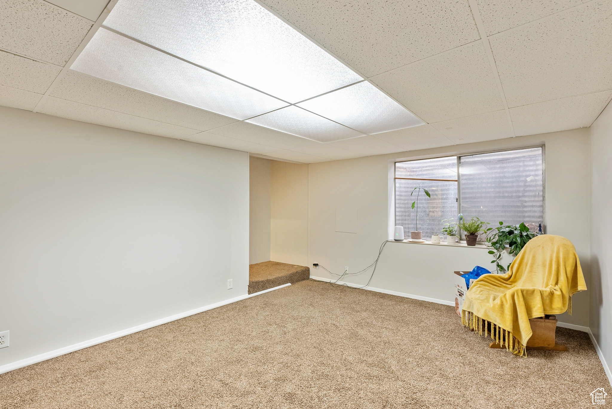 Unfurnished room with carpet flooring and a paneled ceiling