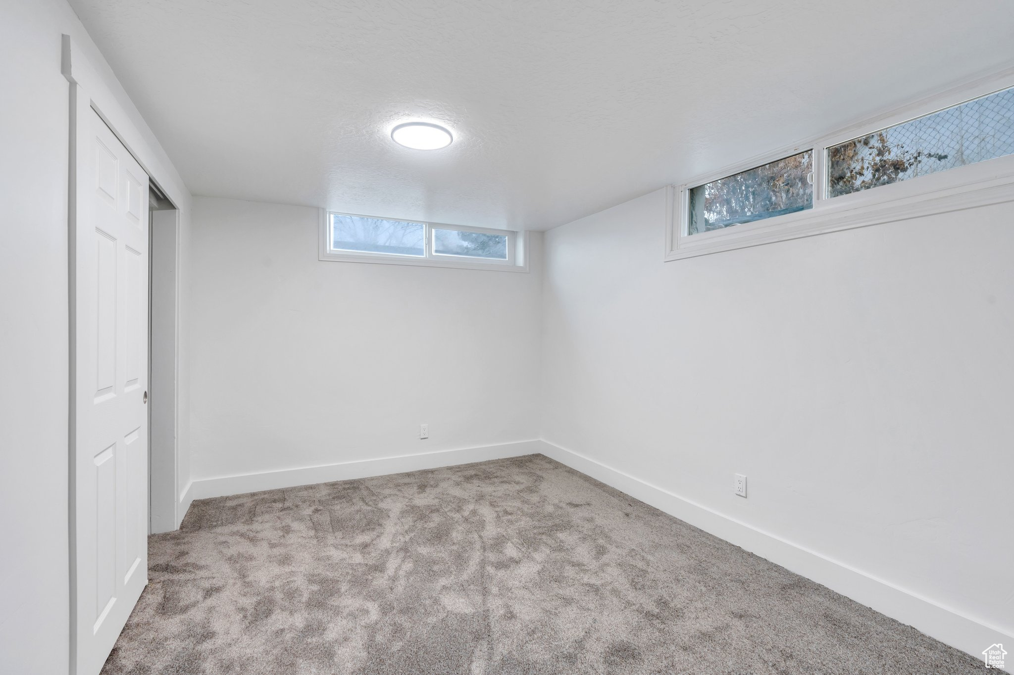 Basement featuring light colored carpet