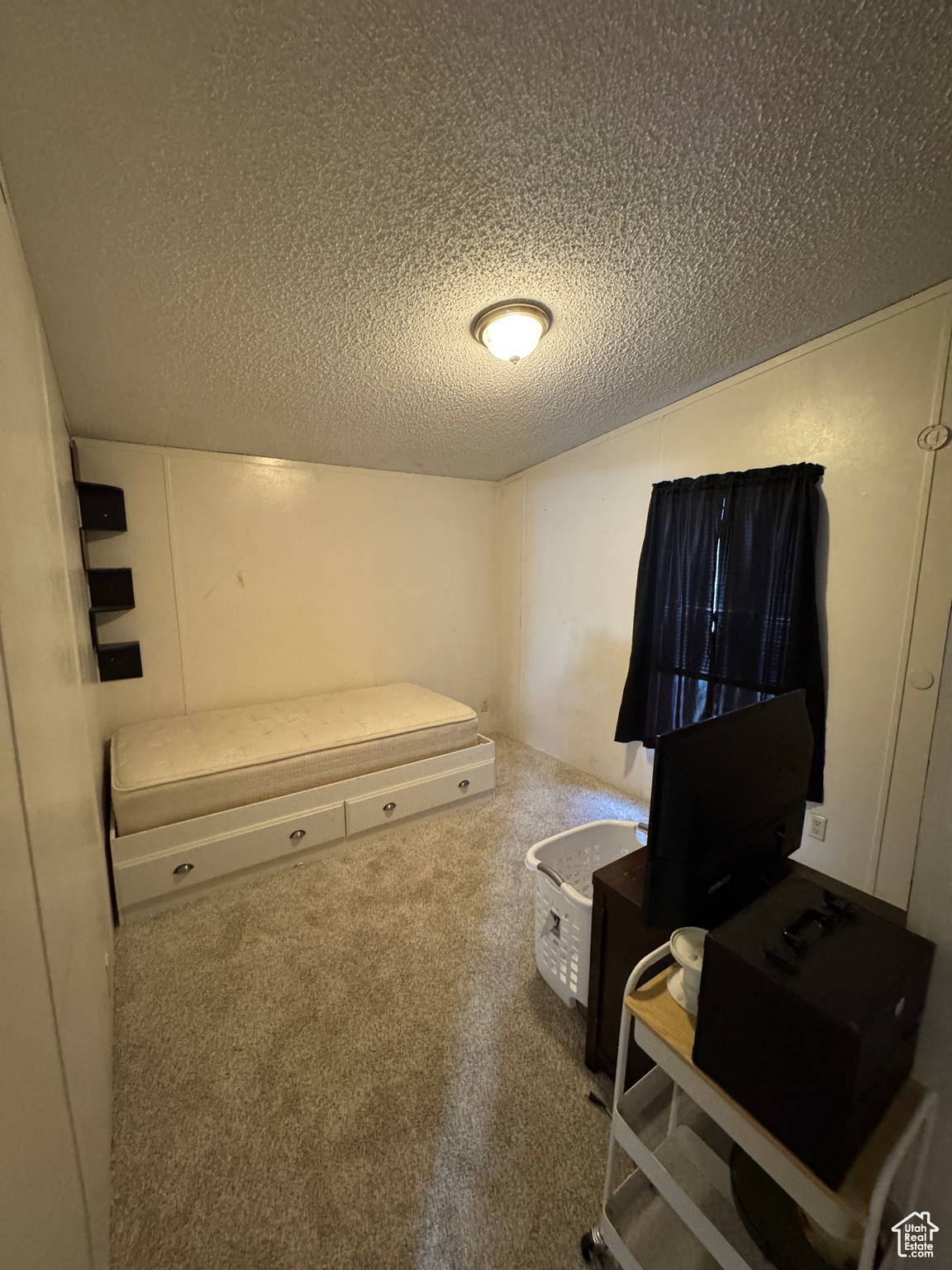 Miscellaneous room featuring lofted ceiling, carpet floors, and a textured ceiling