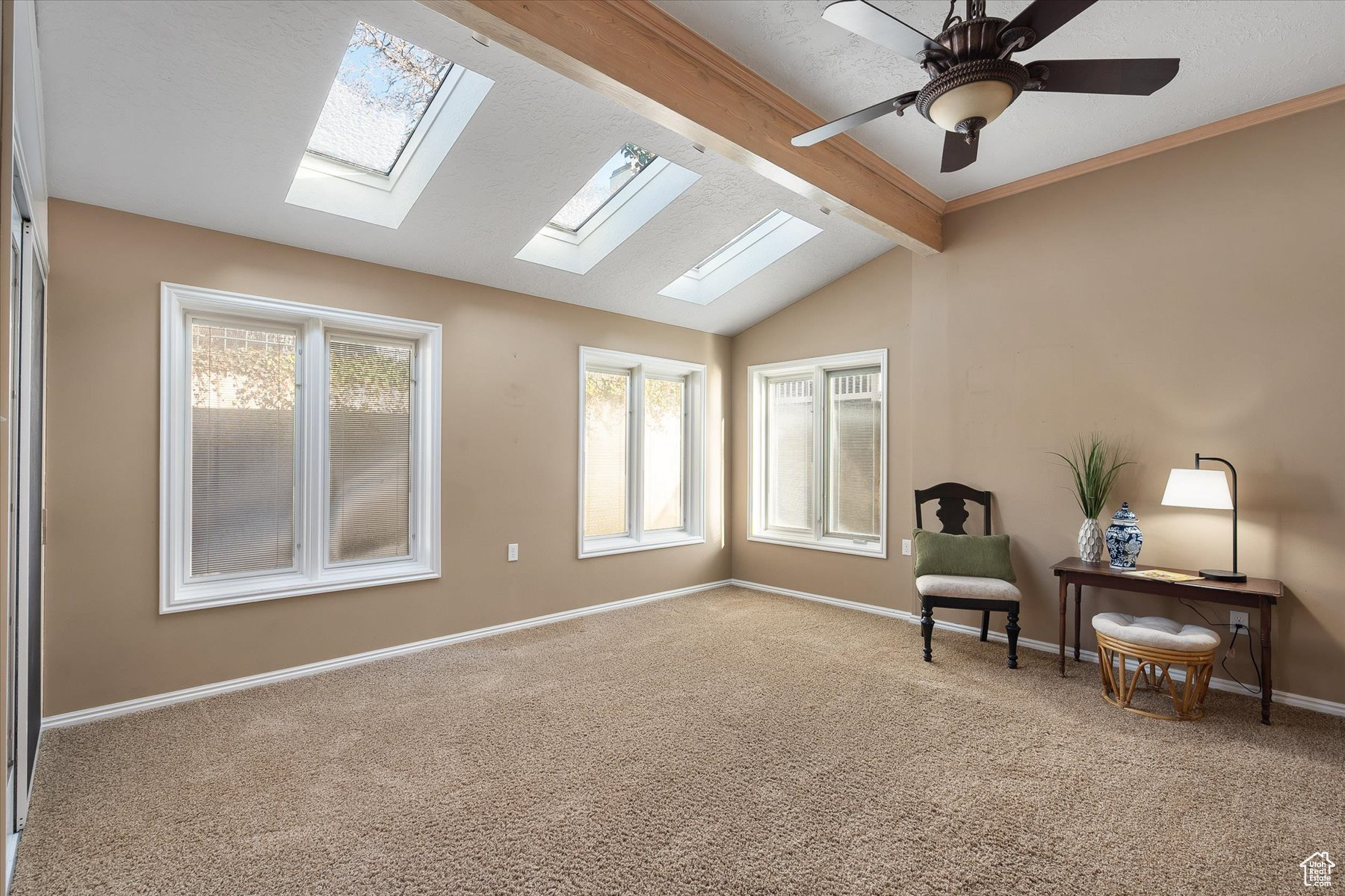 Large sunroom with lots of windows & skylights