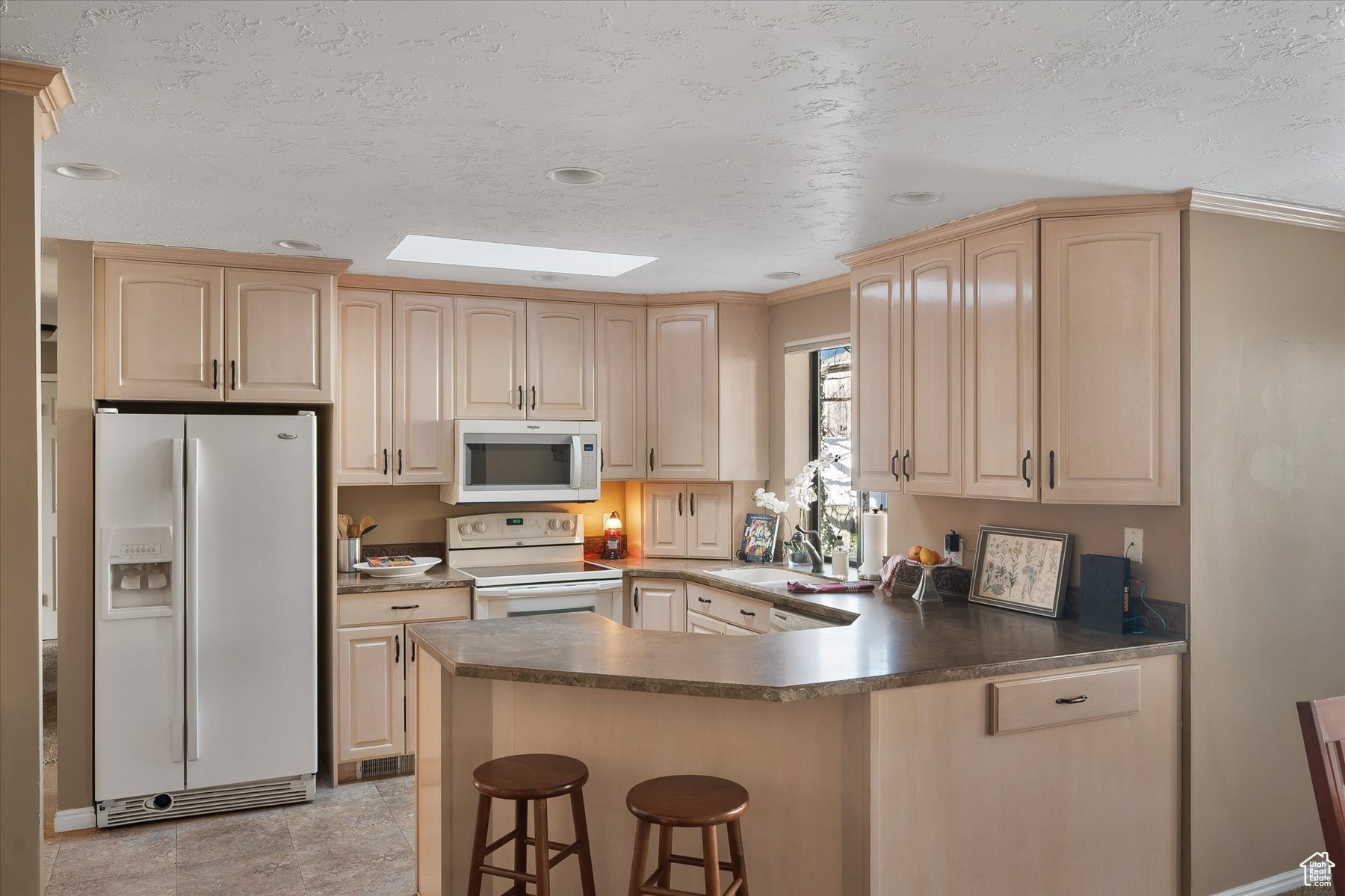 Kitchen fridge & skylight