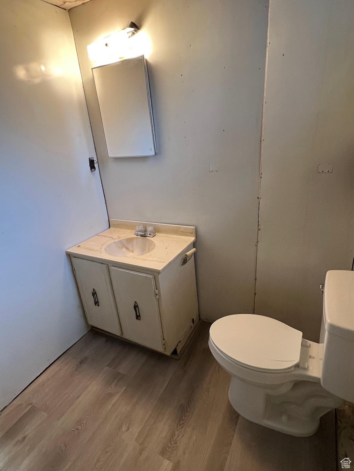 Bathroom featuring vanity, wood-type flooring, and toilet