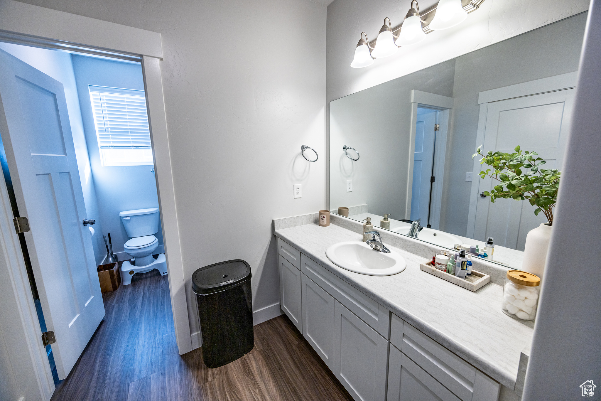 Bathroom with hardwood / wood-style floors, vanity, and toilet