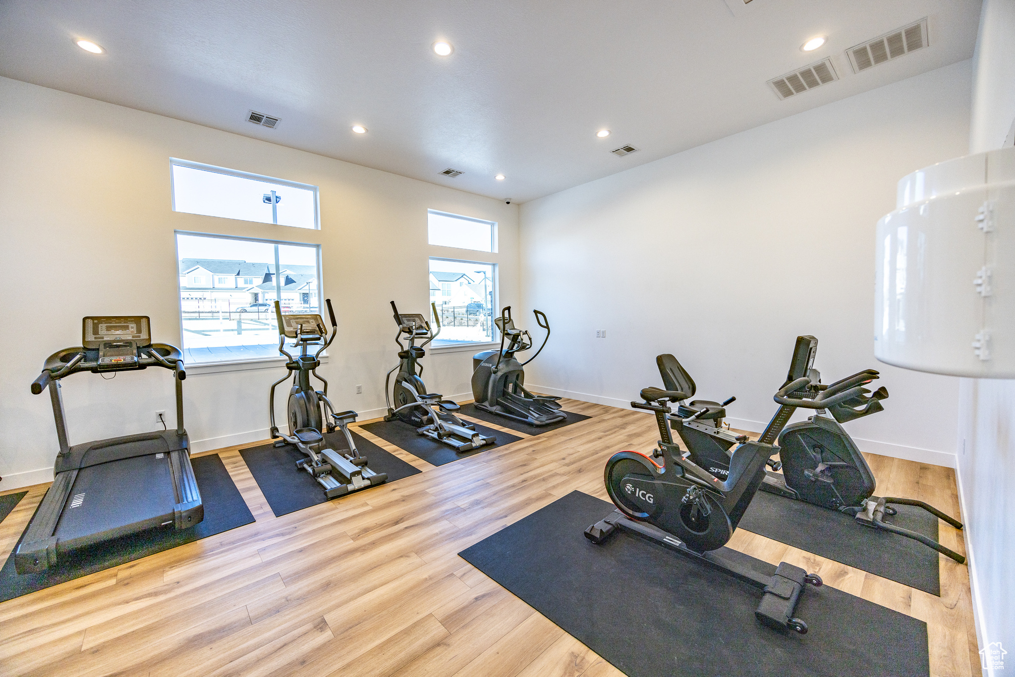 Workout room featuring hardwood / wood-style flooring and plenty of natural light