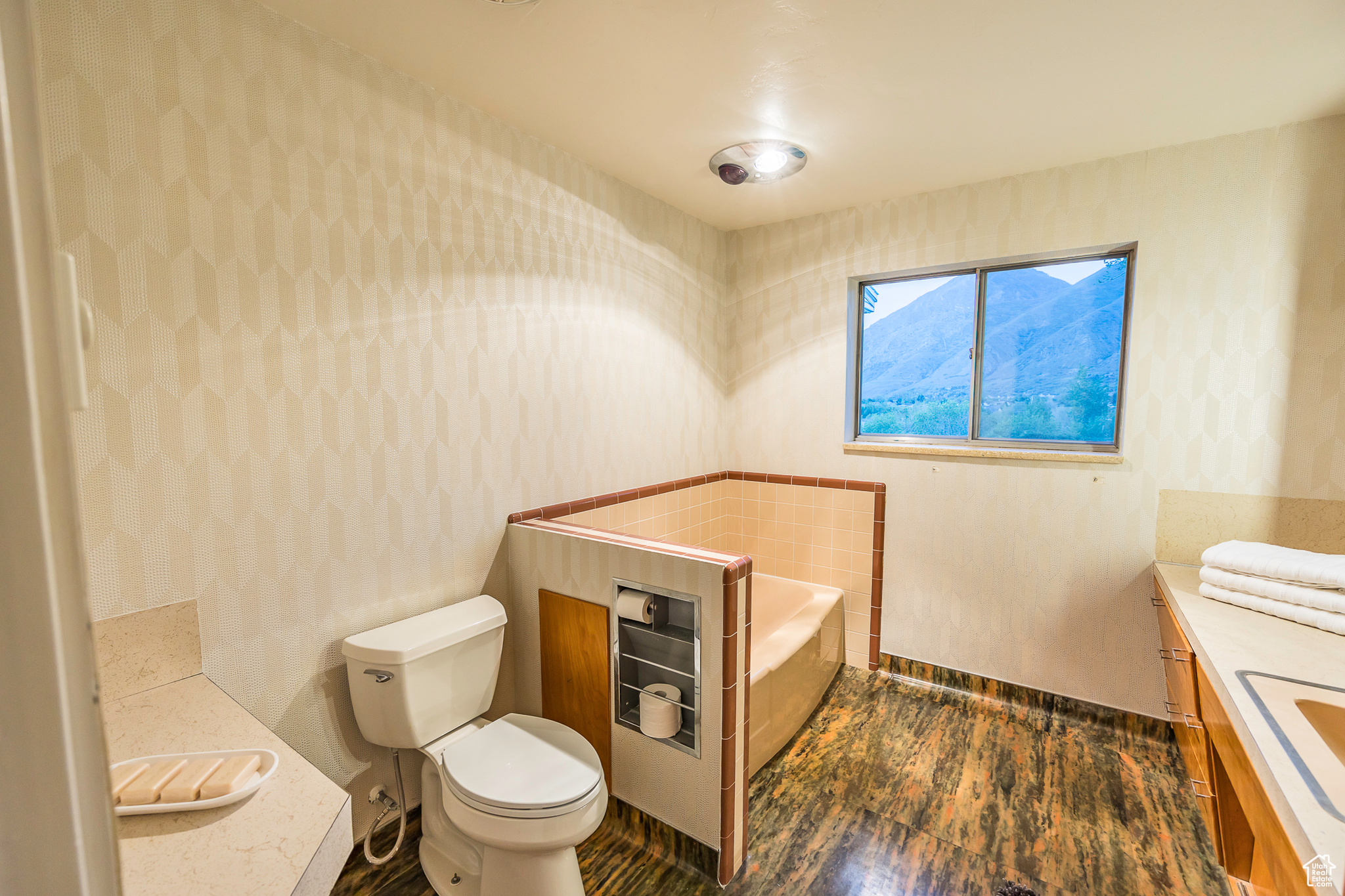 Bathroom with a bathing tub, vanity, and toilet