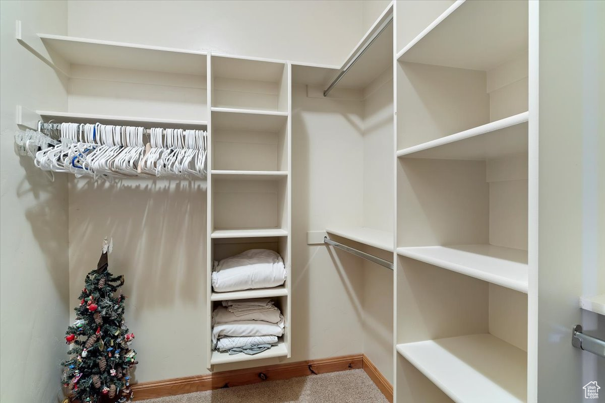 Master Walk in closet featuring carpet flooring