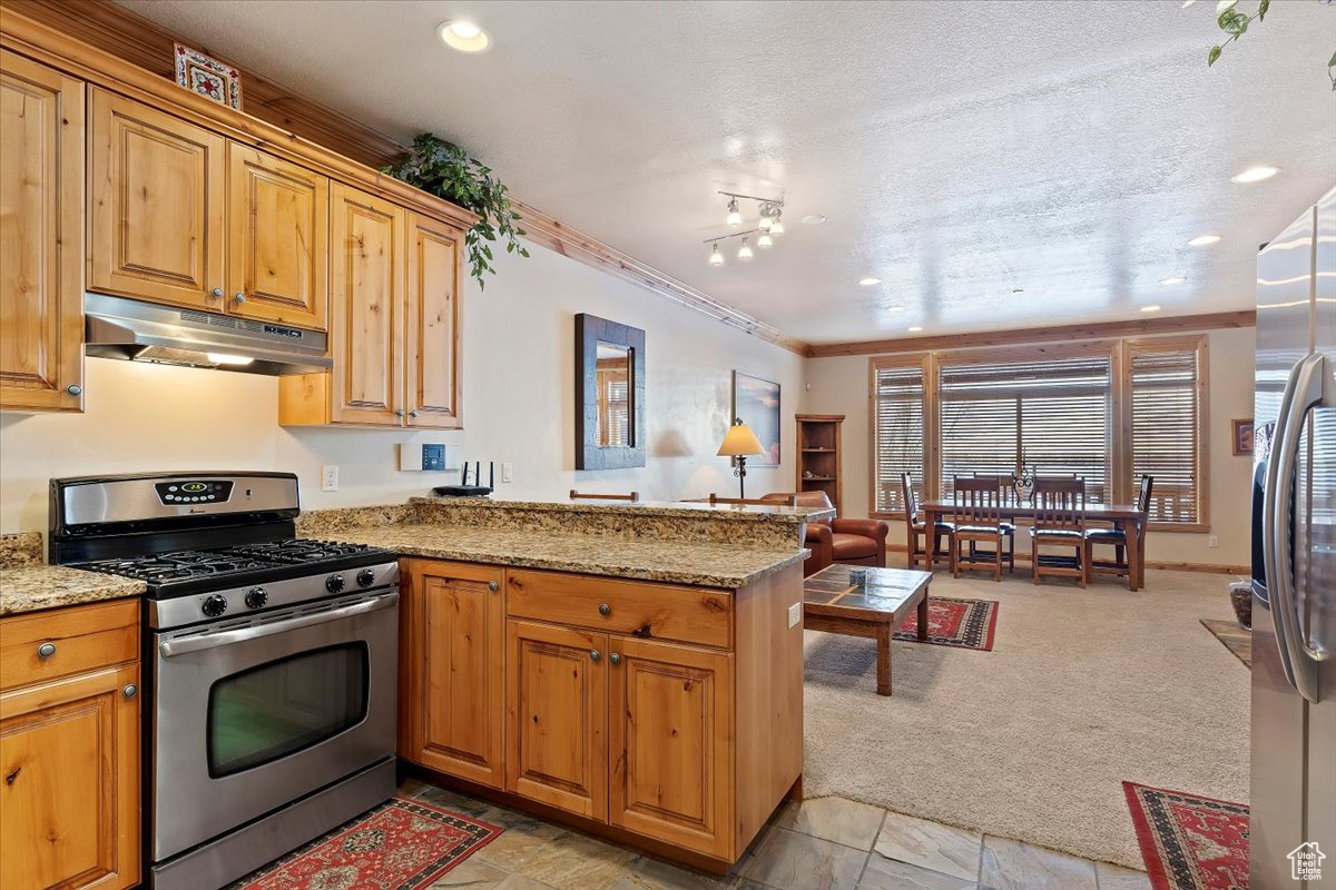 Kitchen with kitchen peninsula, light stone countertops, a textured ceiling, stainless steel appliances, and light colored carpet