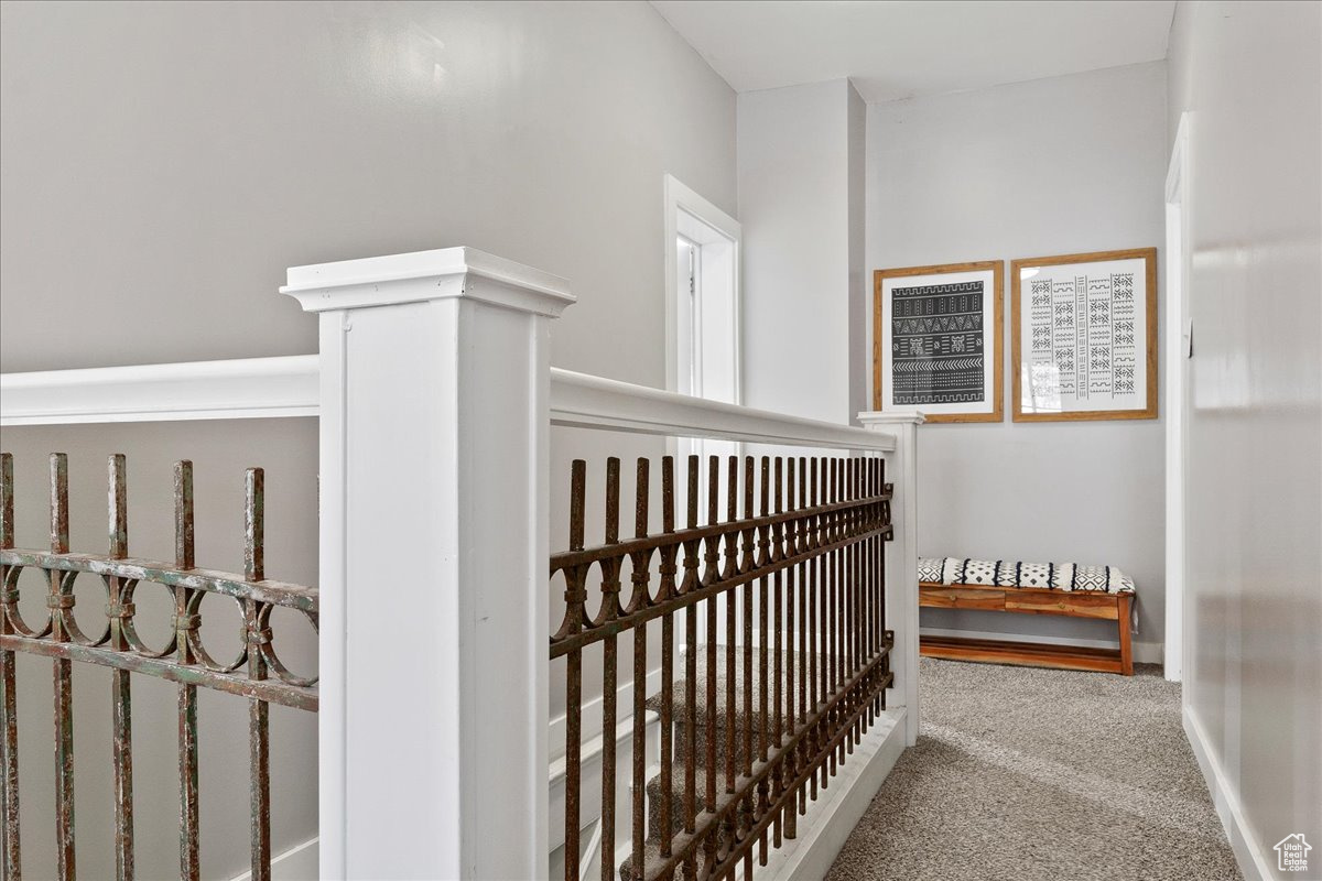 Staircase featuring carpet floors