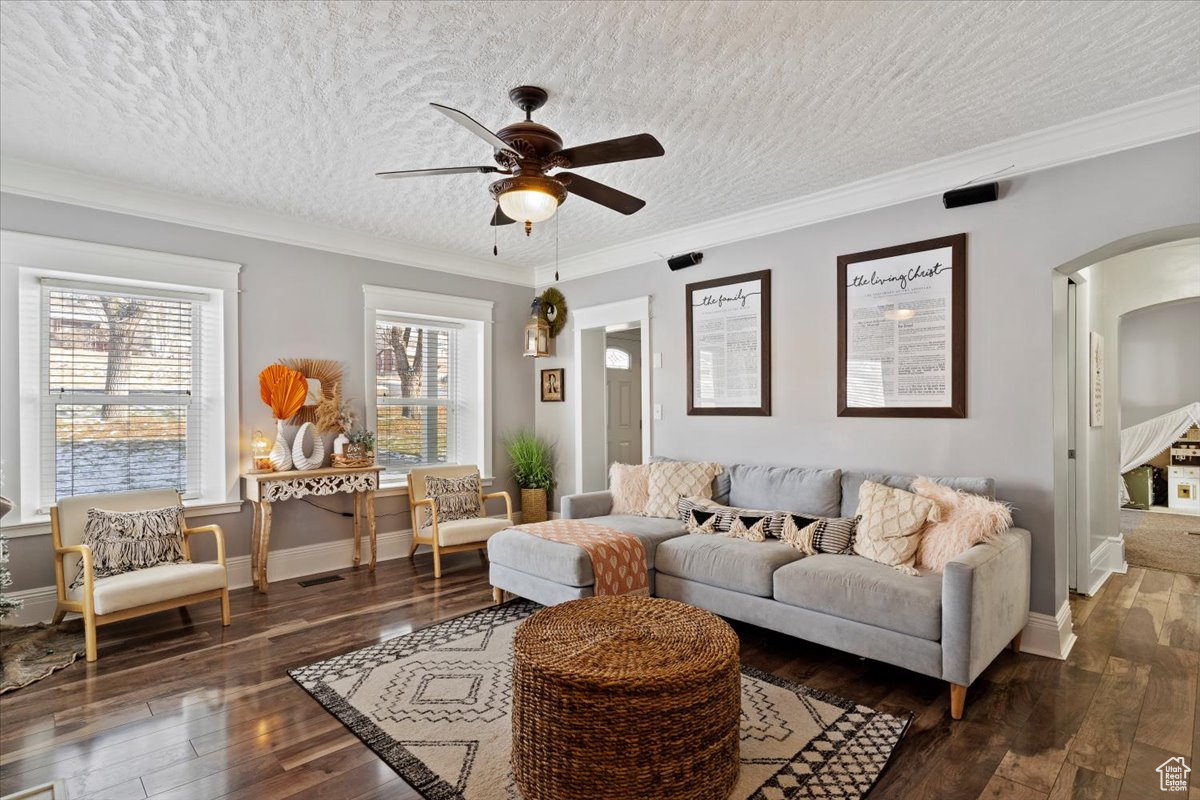 Living room with dark wood-type flooring, ceiling fan, and crown molding