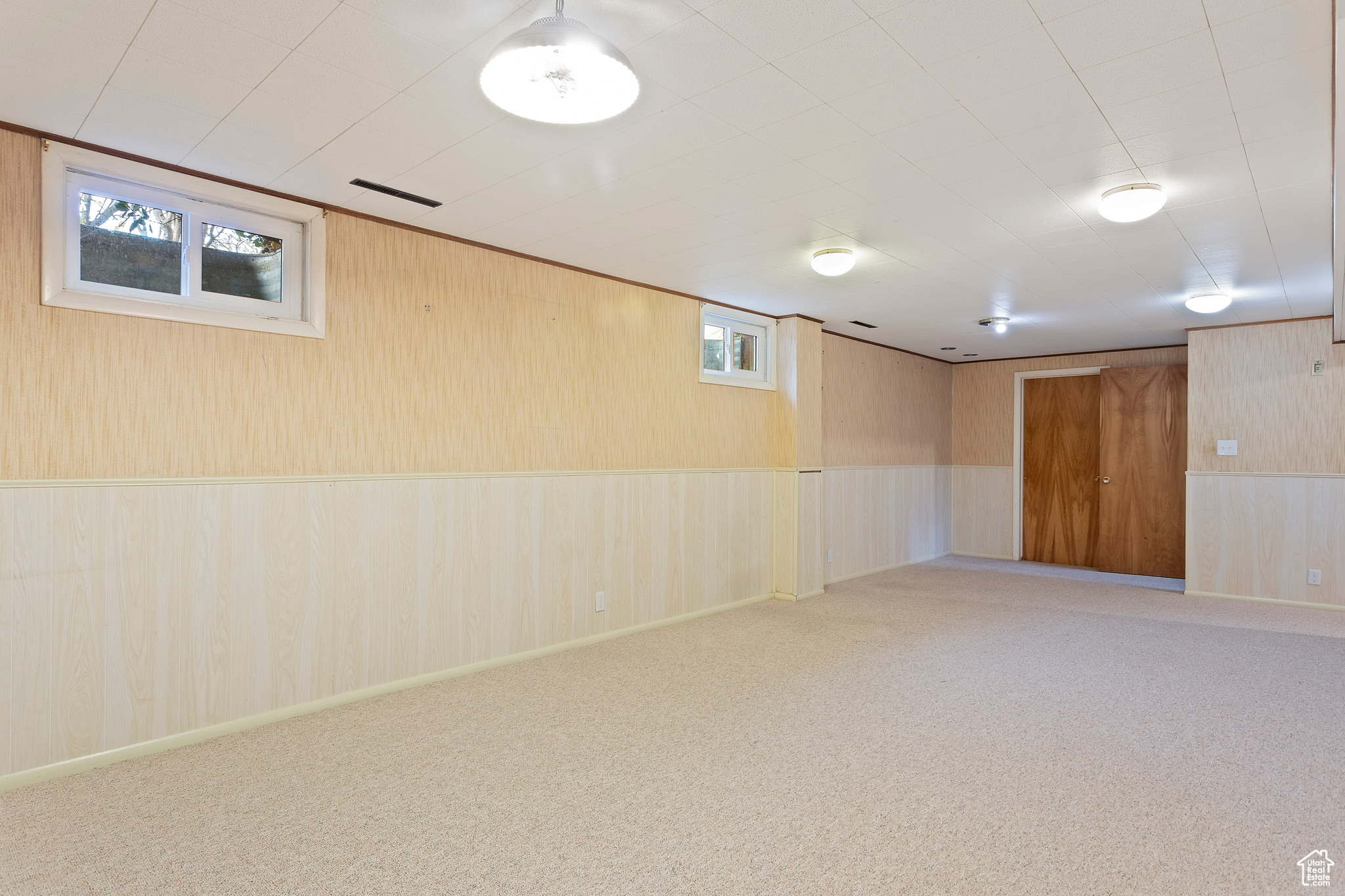 Basement with carpet flooring, plenty of natural light, and wooden walls