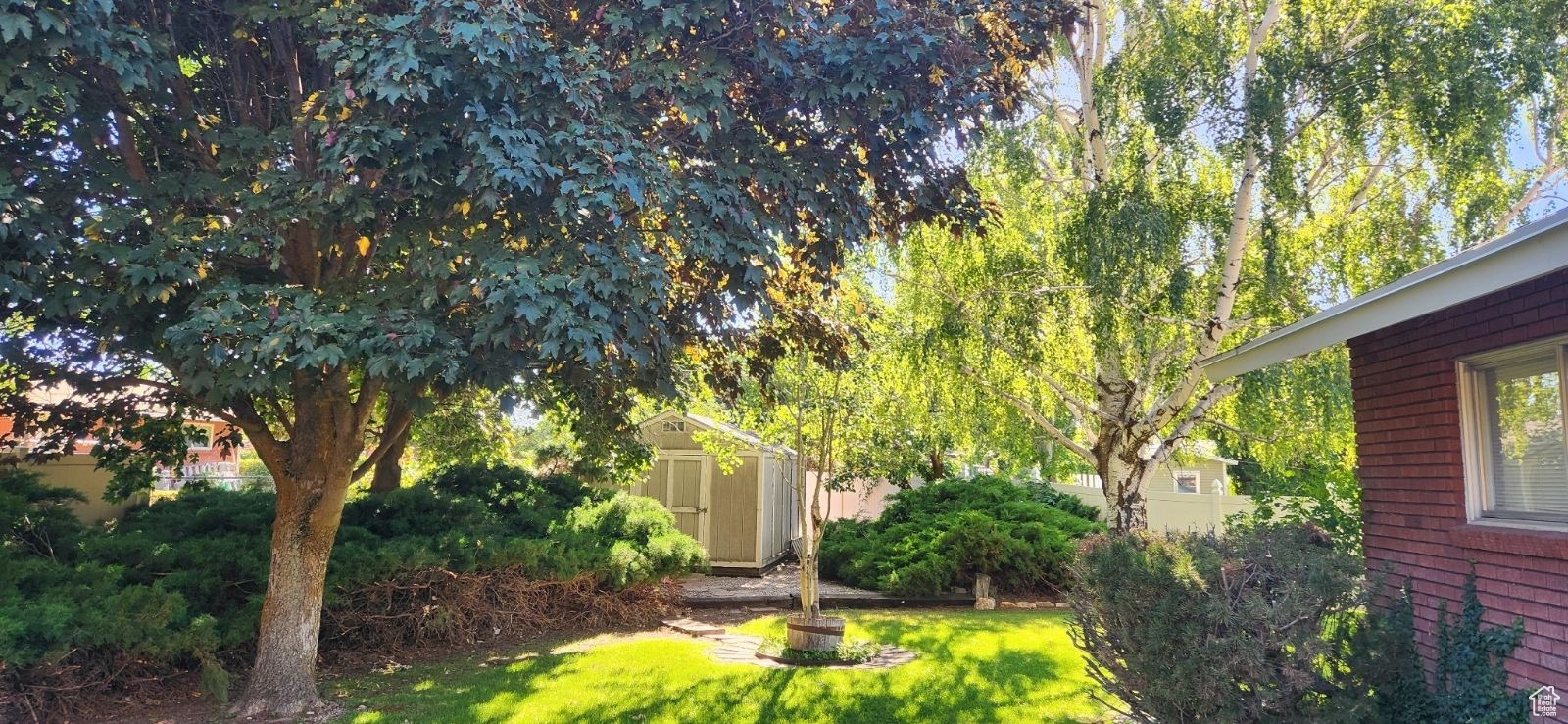 View of yard featuring a shed