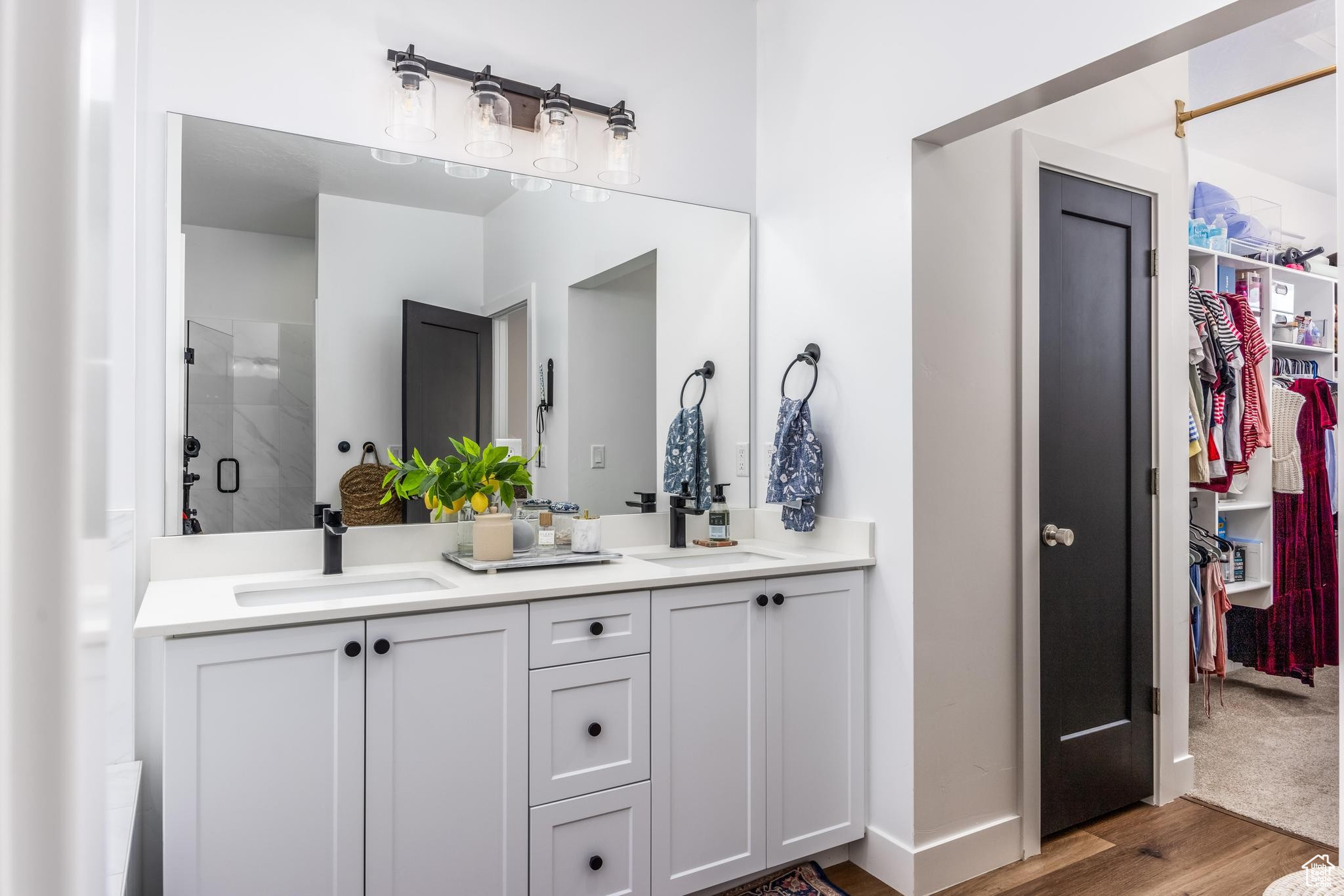 Master Bathroom with walk-in closet, hardwood / wood-style floors, vanity, and a shower with door