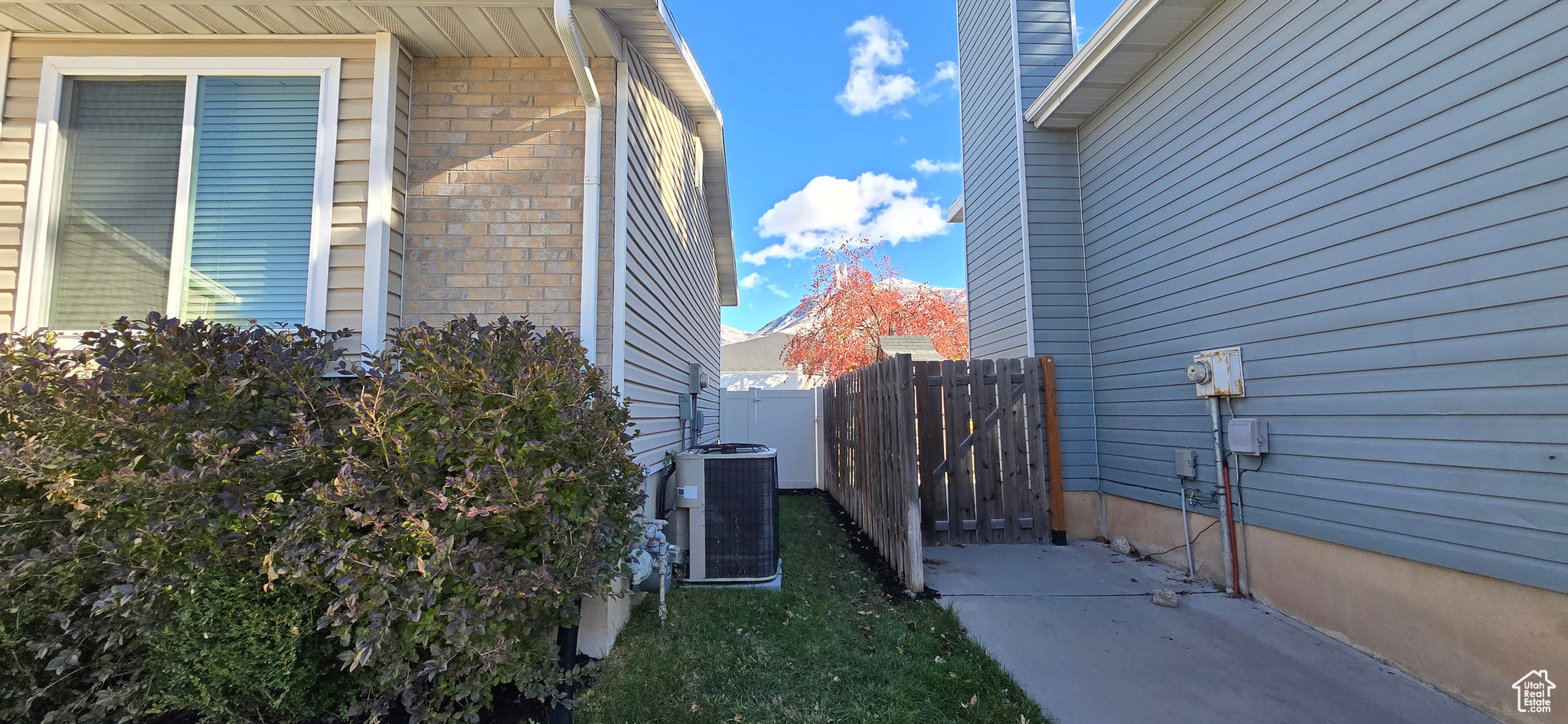 Side entrance to backyard