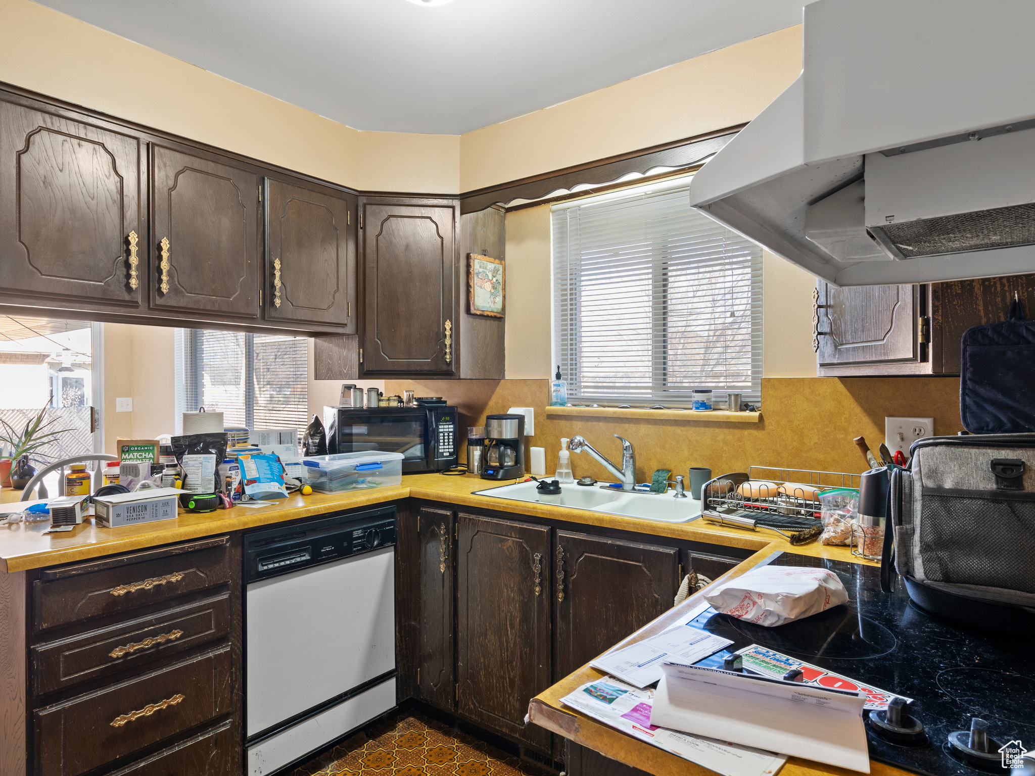 Kitchen with dishwasher, dark brown cabinetry, ventilation hood, and sink