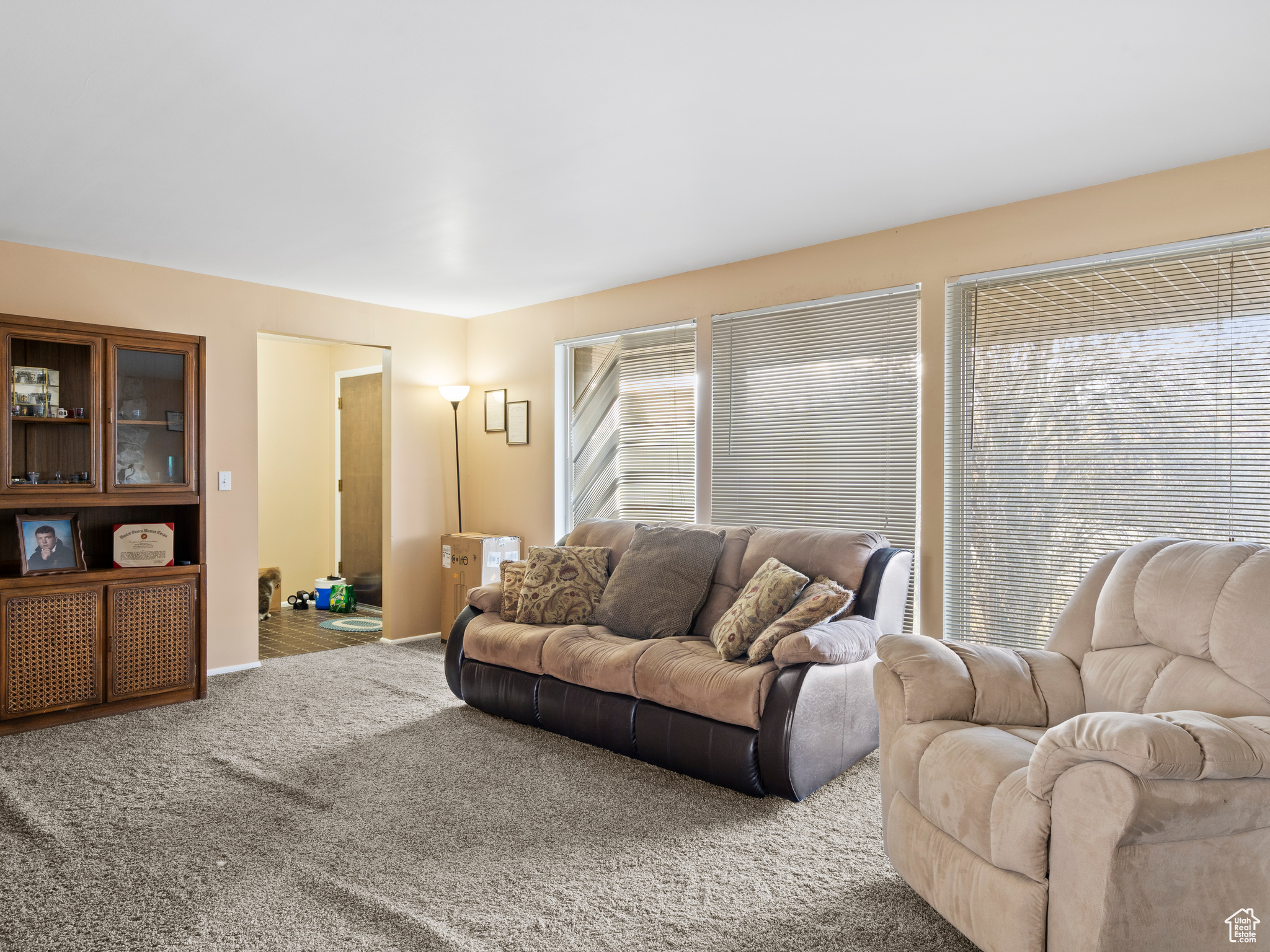 View of carpeted living room