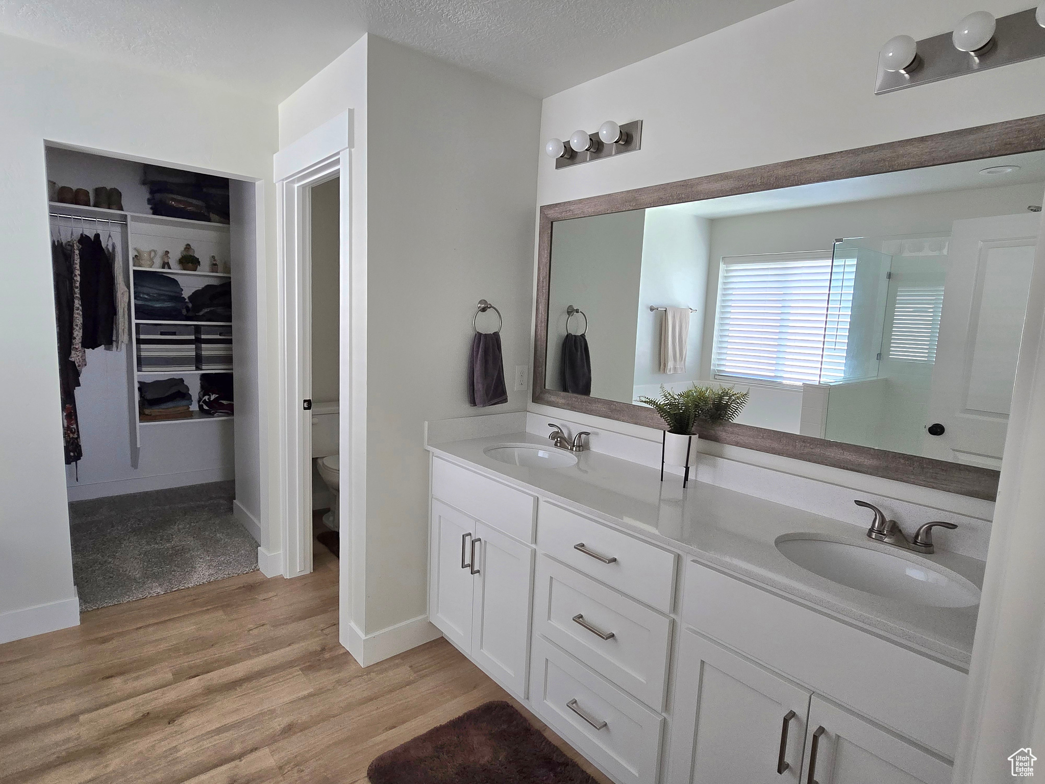 Bathroom featuring toilet, vanity, a textured ceiling, and hardwood / wood-style flooring