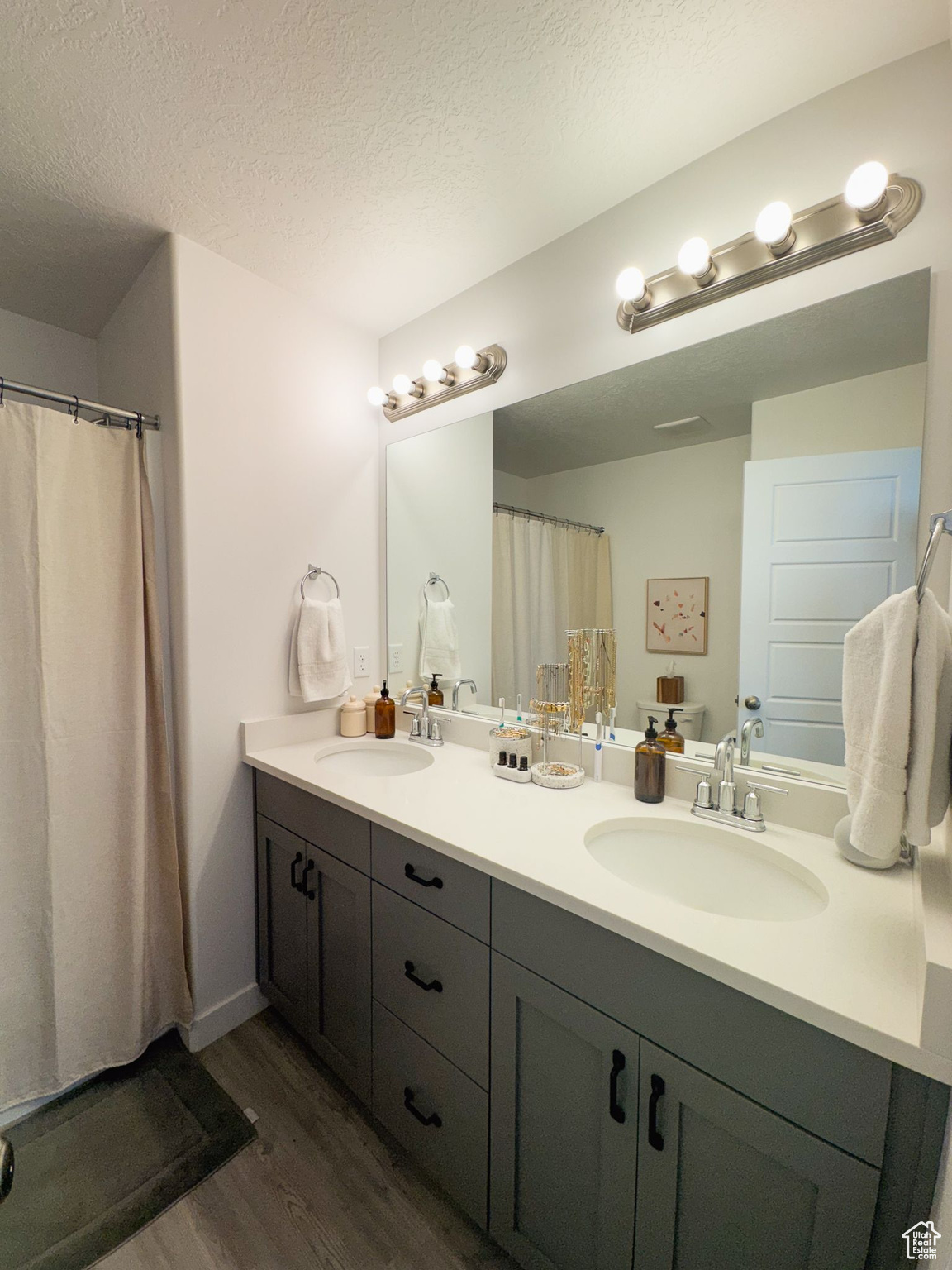 Bathroom with vanity, wood-type flooring, and a textured ceiling