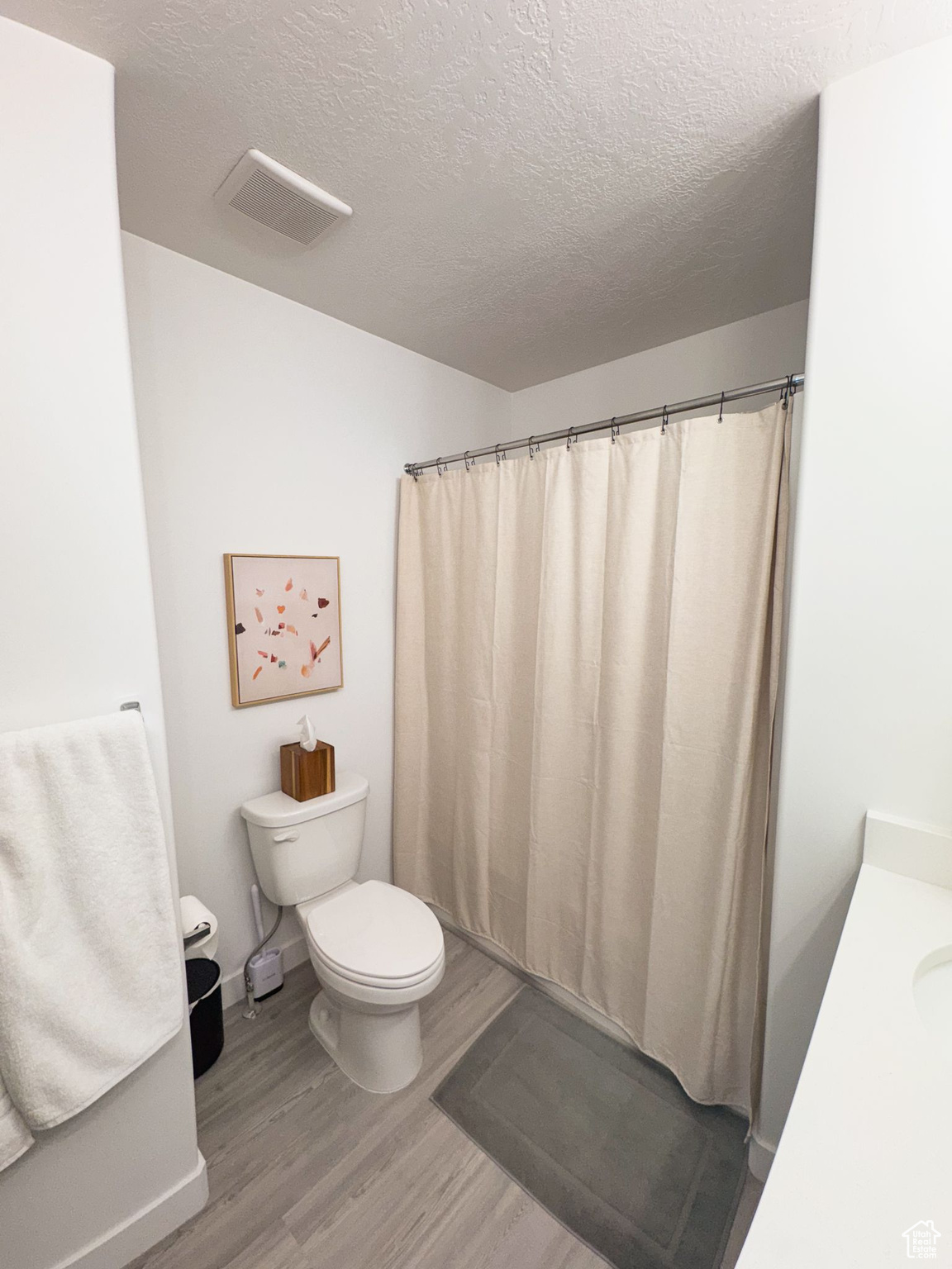 Bathroom featuring vanity, toilet, wood-type flooring, and a textured ceiling