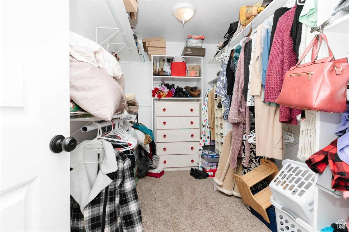 Spacious closet featuring carpet flooring