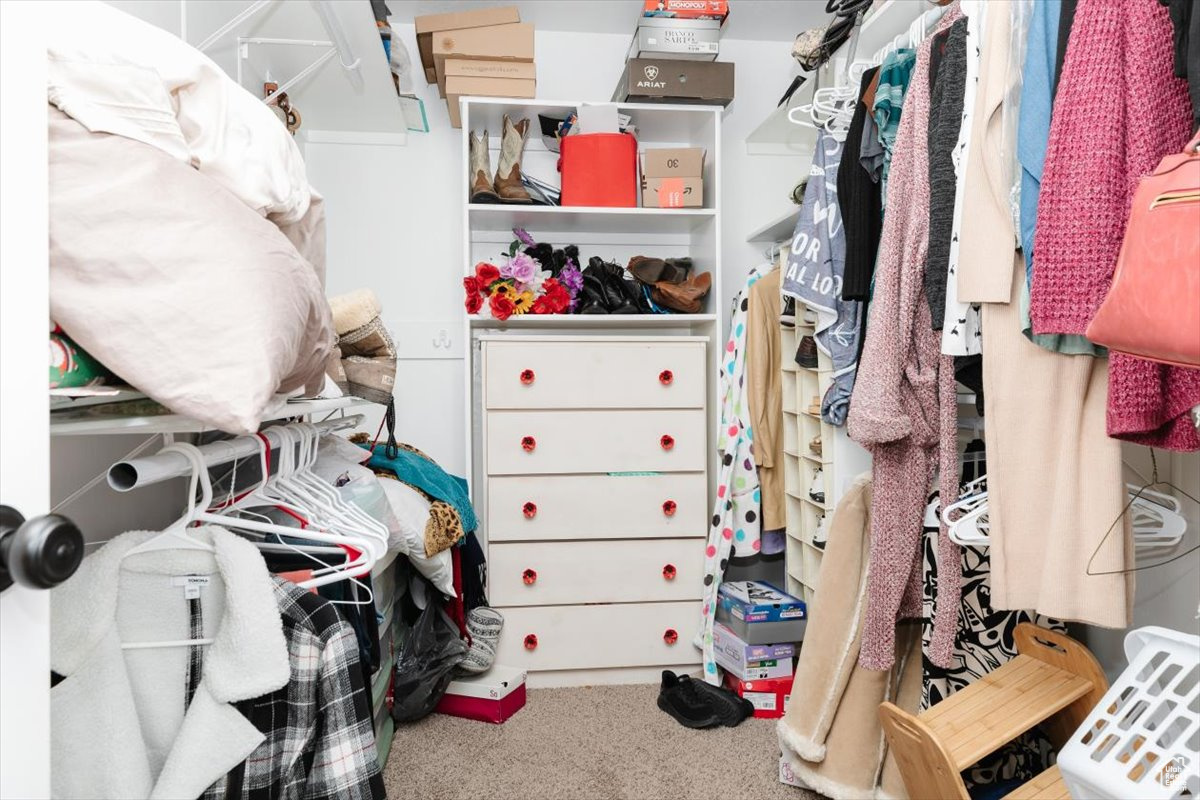 Walk in closet with carpet