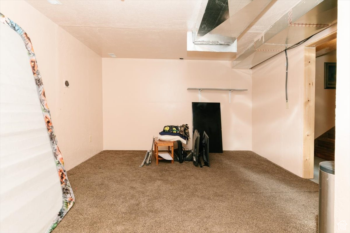 Miscellaneous room with carpet floors