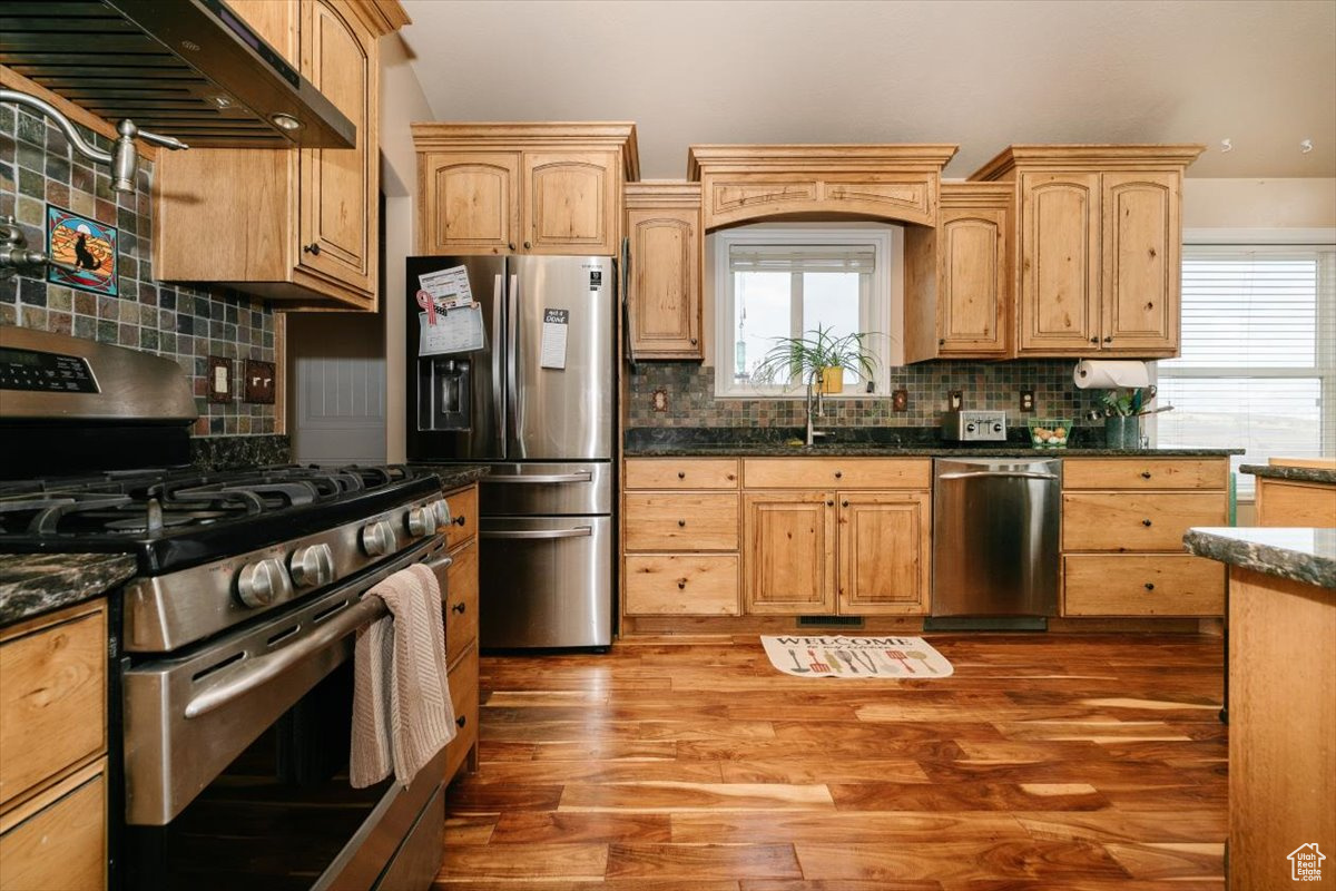 Kitchen with sink, stainless steel appliances, dark stone counters, extractor fan, and wood-type flooring