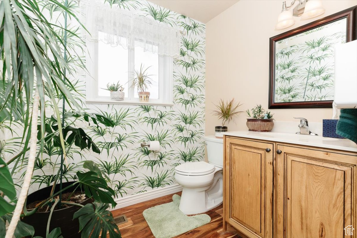 Bathroom featuring hardwood / wood-style flooring, vanity, and toilet