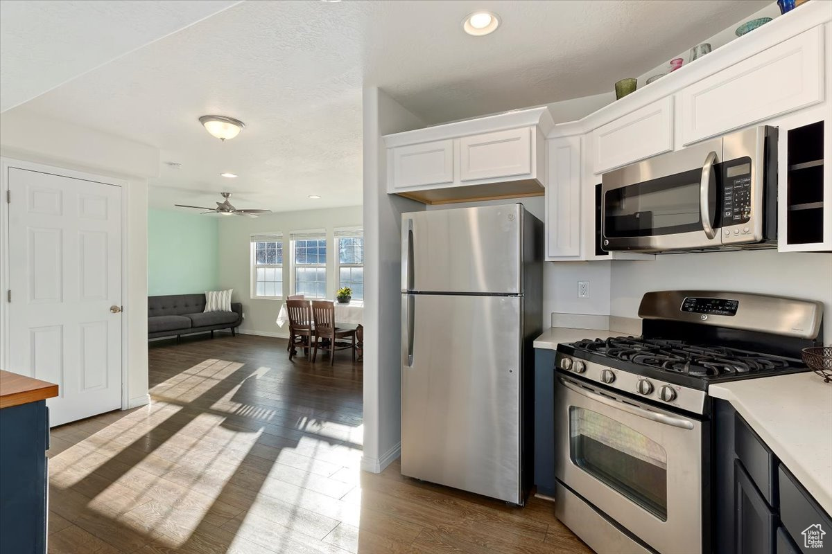 Kitchen with white cabinets, ceiling fan, dark hardwood / wood-style flooring, and stainless steel appliances