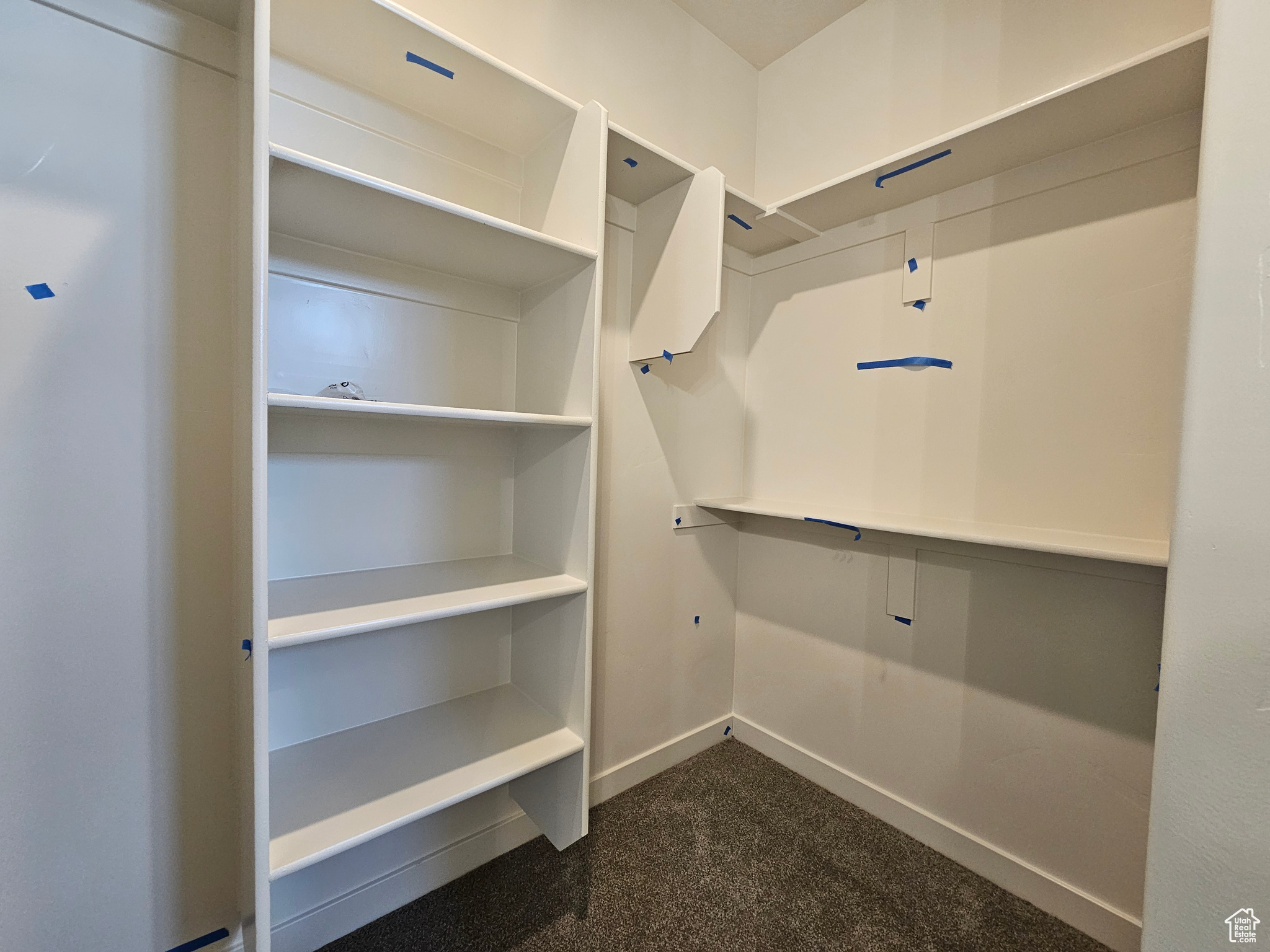 Spacious closet with dark colored carpet