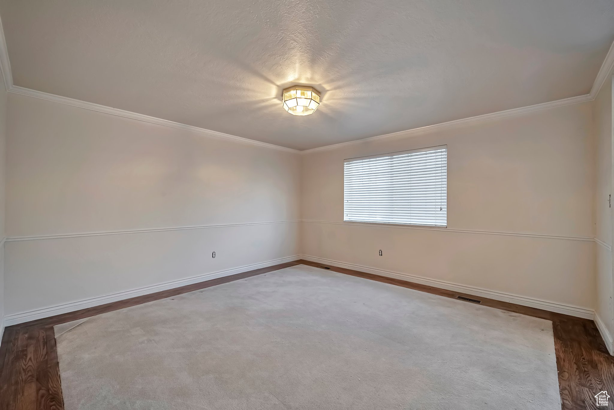 Spare room featuring hardwood / wood-style floors and crown molding