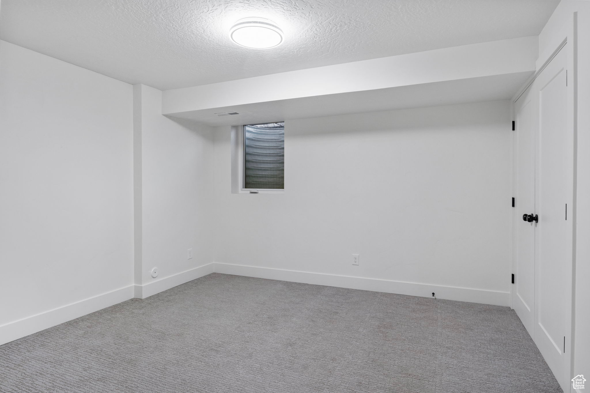 Basement 3 featuring light colored carpet, walk in closet and a textured ceiling