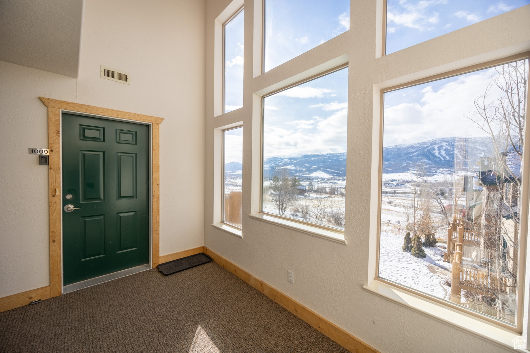 Carpeted entryway featuring a mountain view and a high ceiling