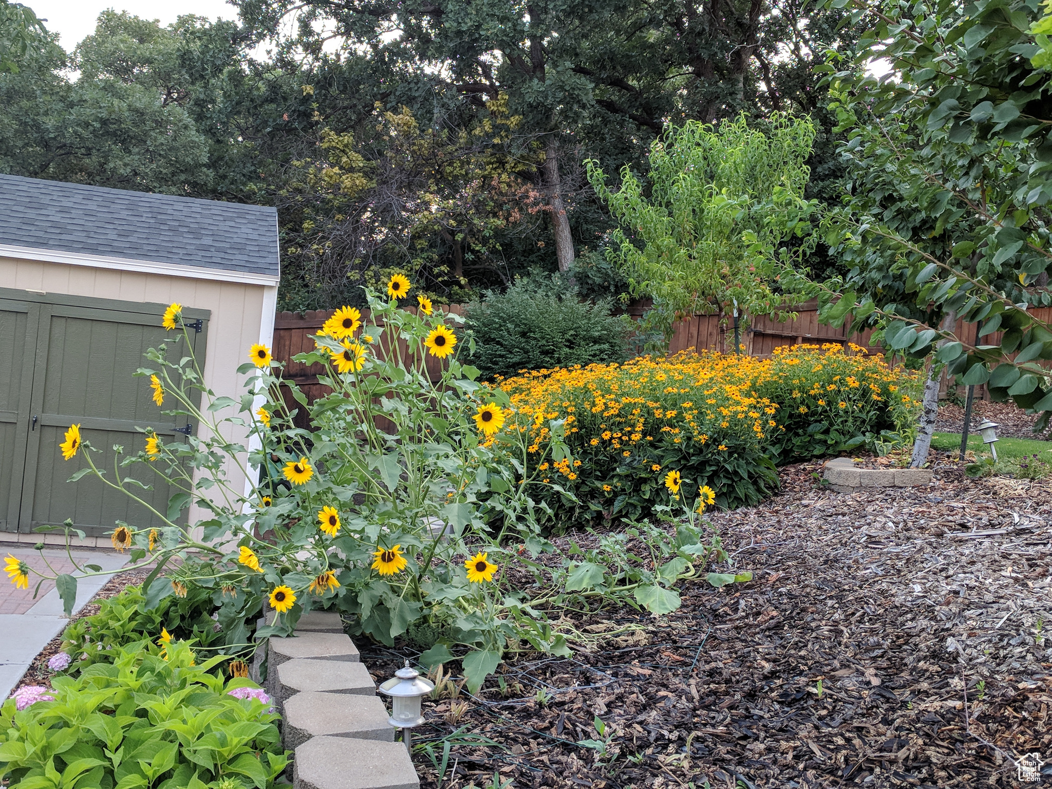 View of yard with a shed