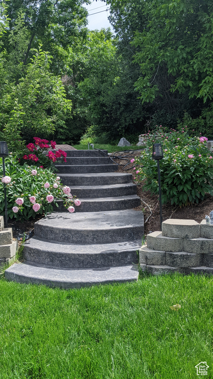 View of stairs