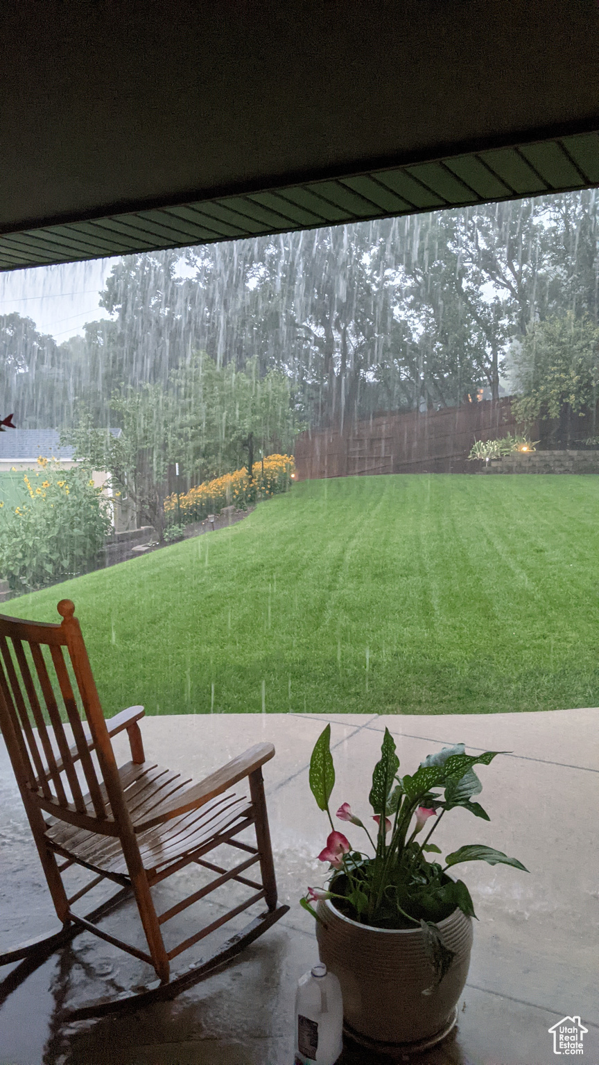 View of yard featuring a patio area