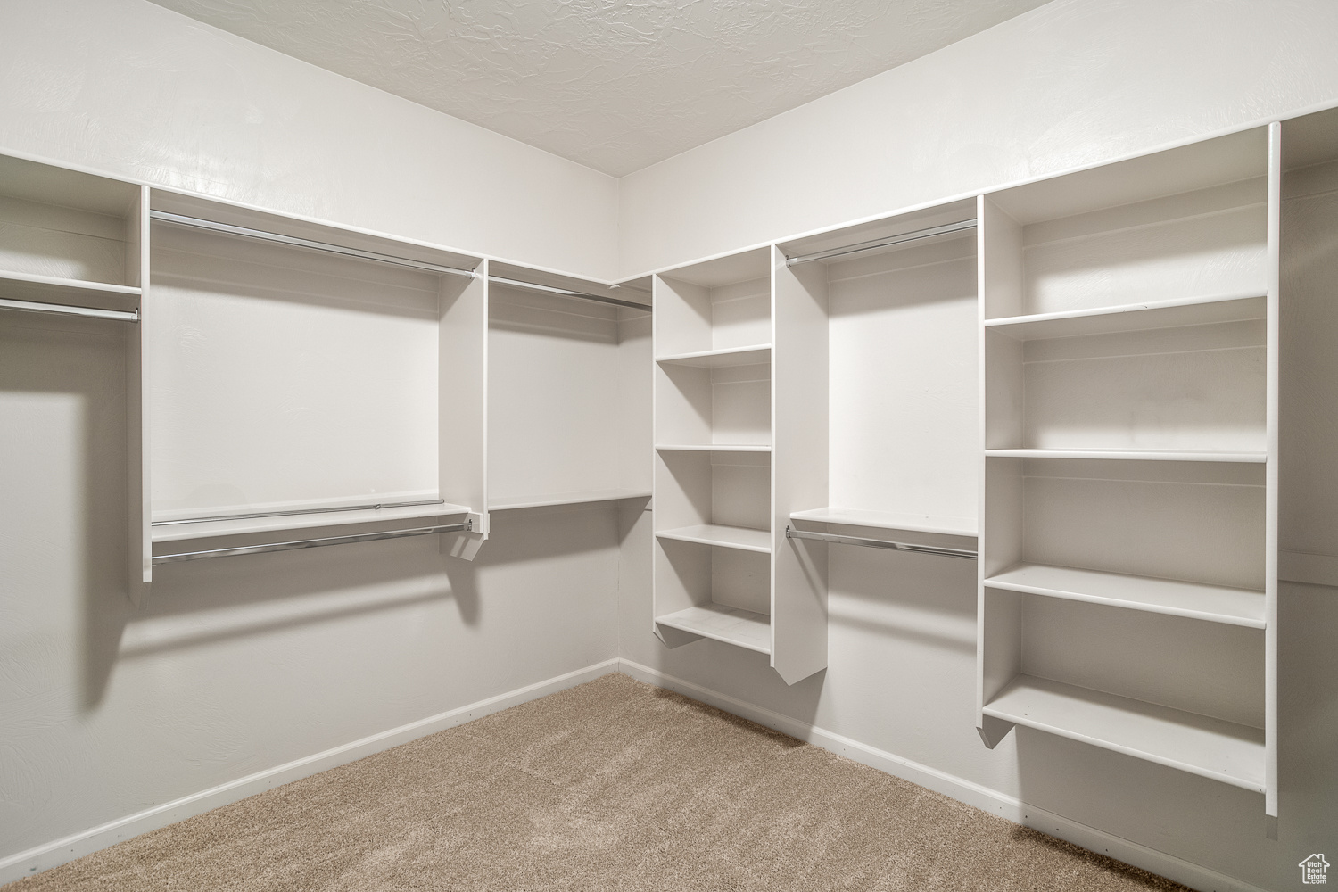 Walk in closet with carpet flooring