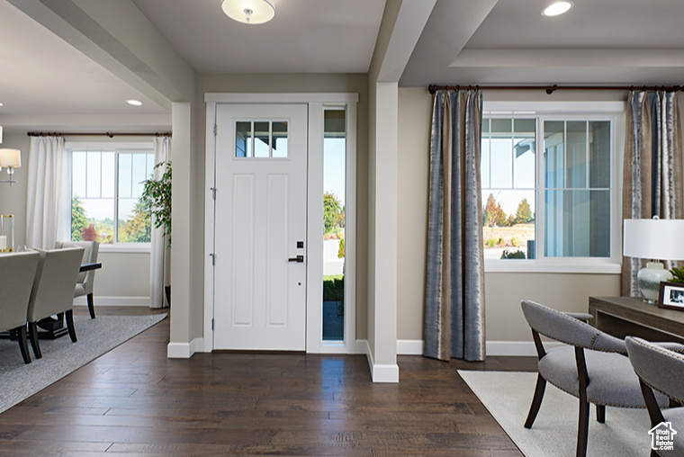 Entrance foyer with dark hardwood / wood-style floors