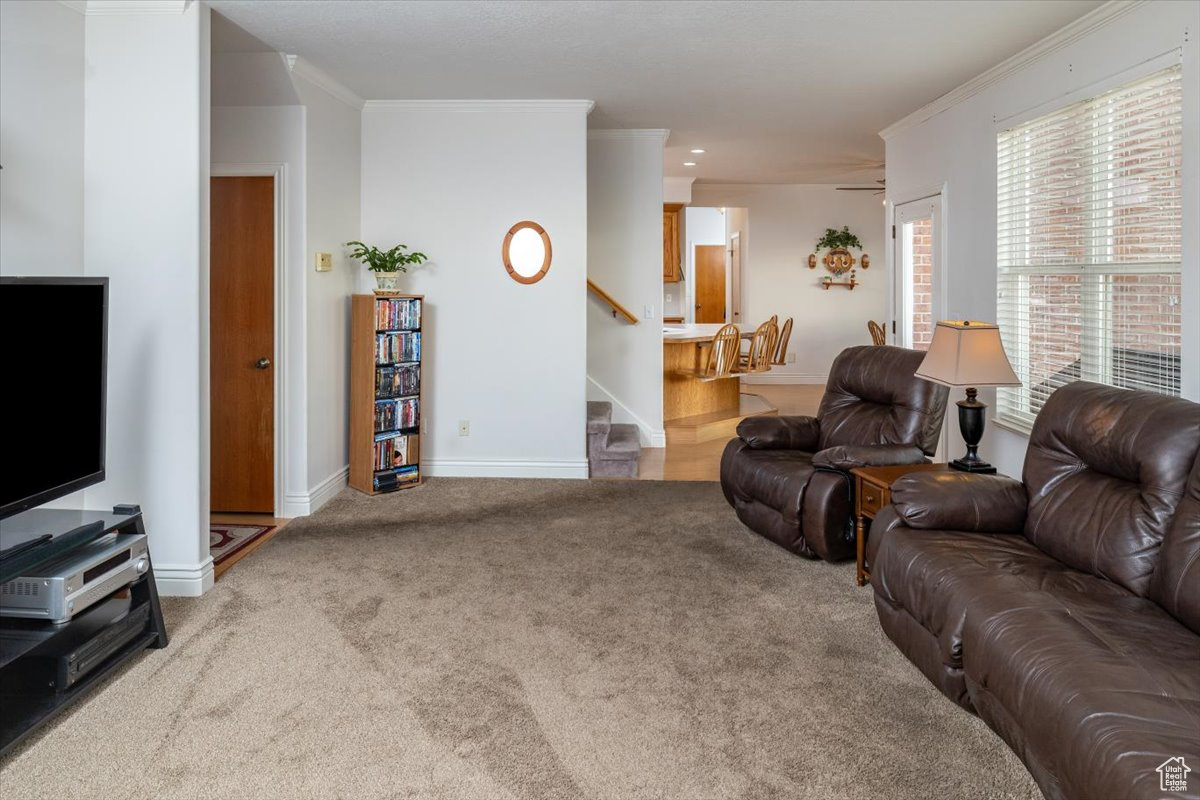 Living room with carpet flooring and ornamental molding